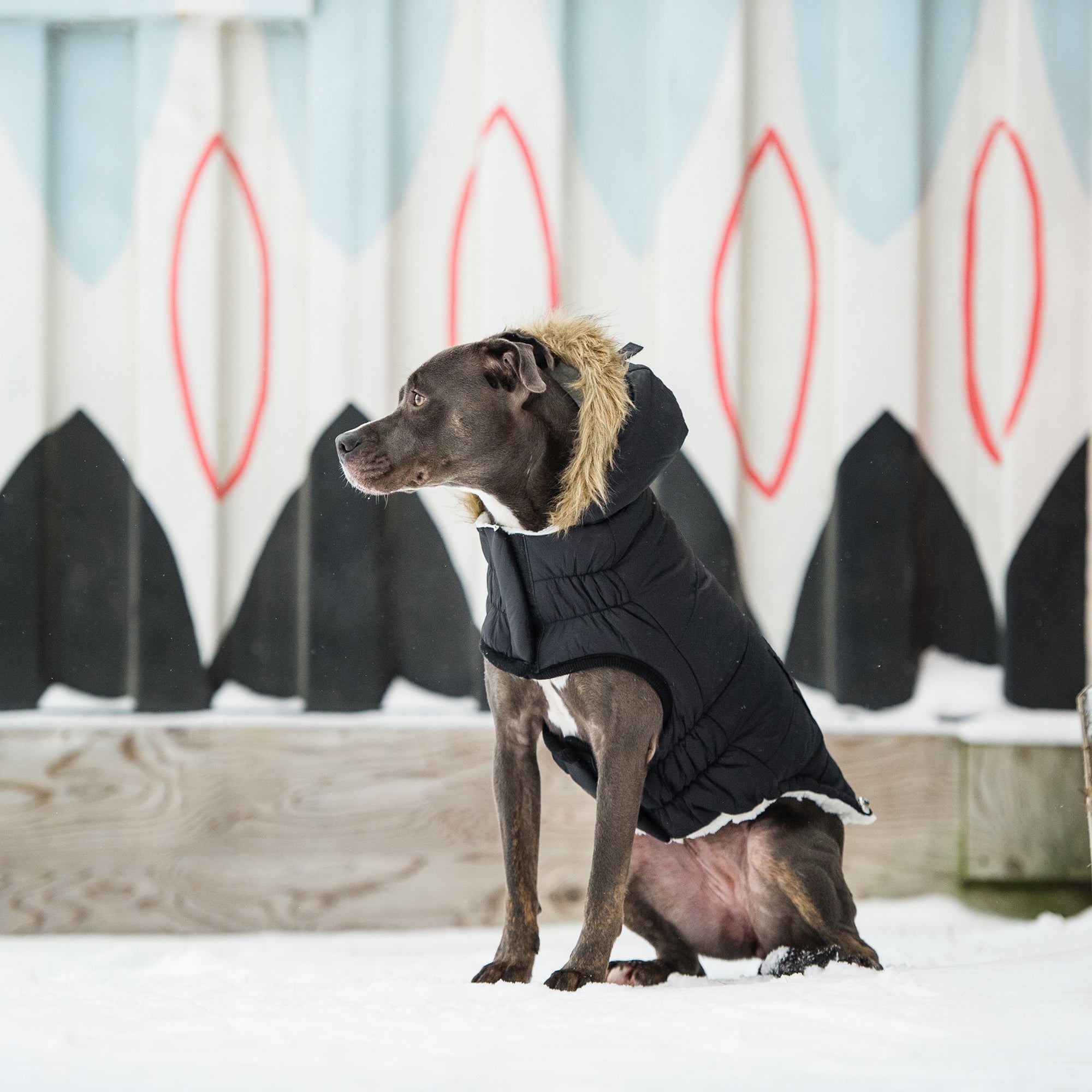 Urban Parka - Black - Image 5