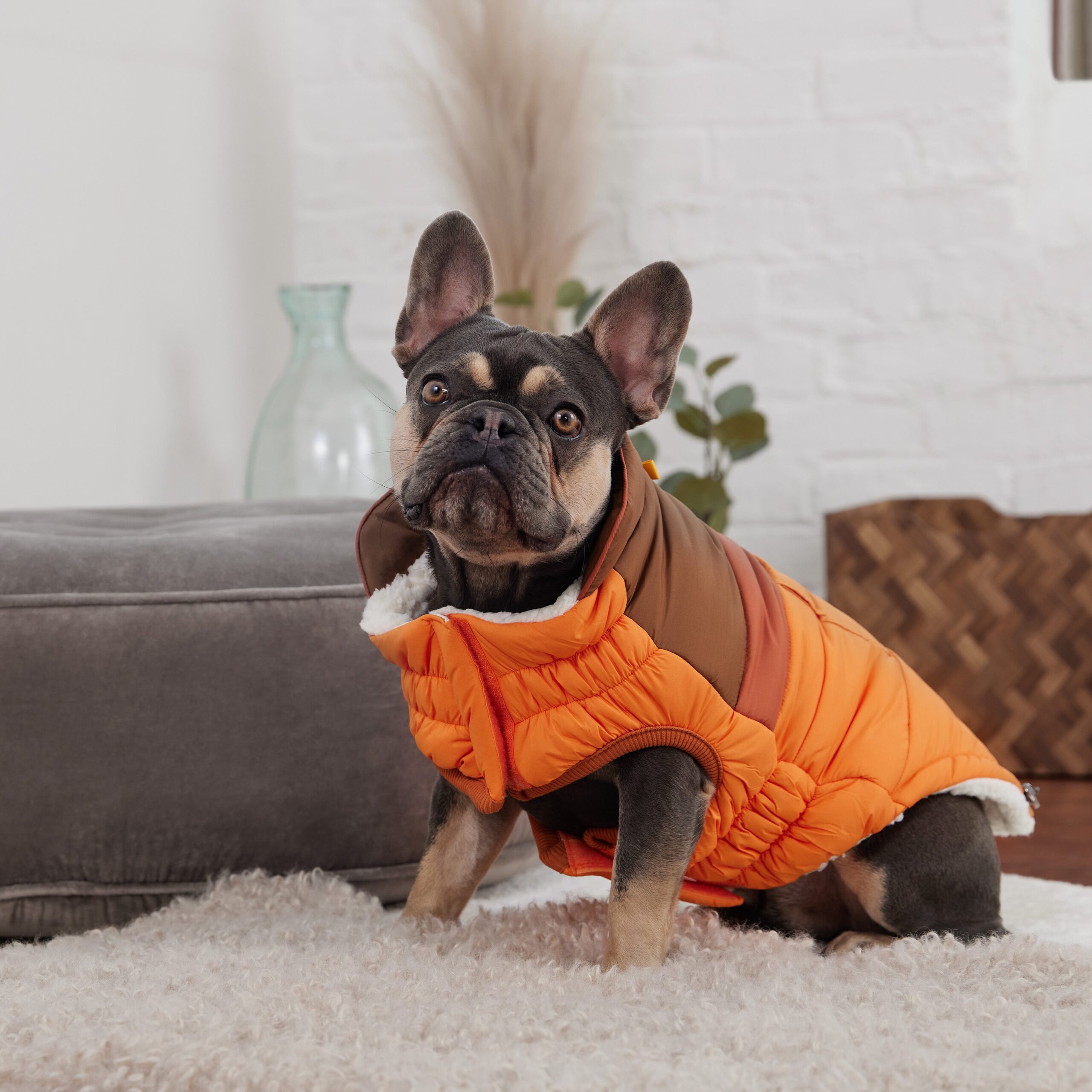 Camplife Puffer - Orange - Image 4