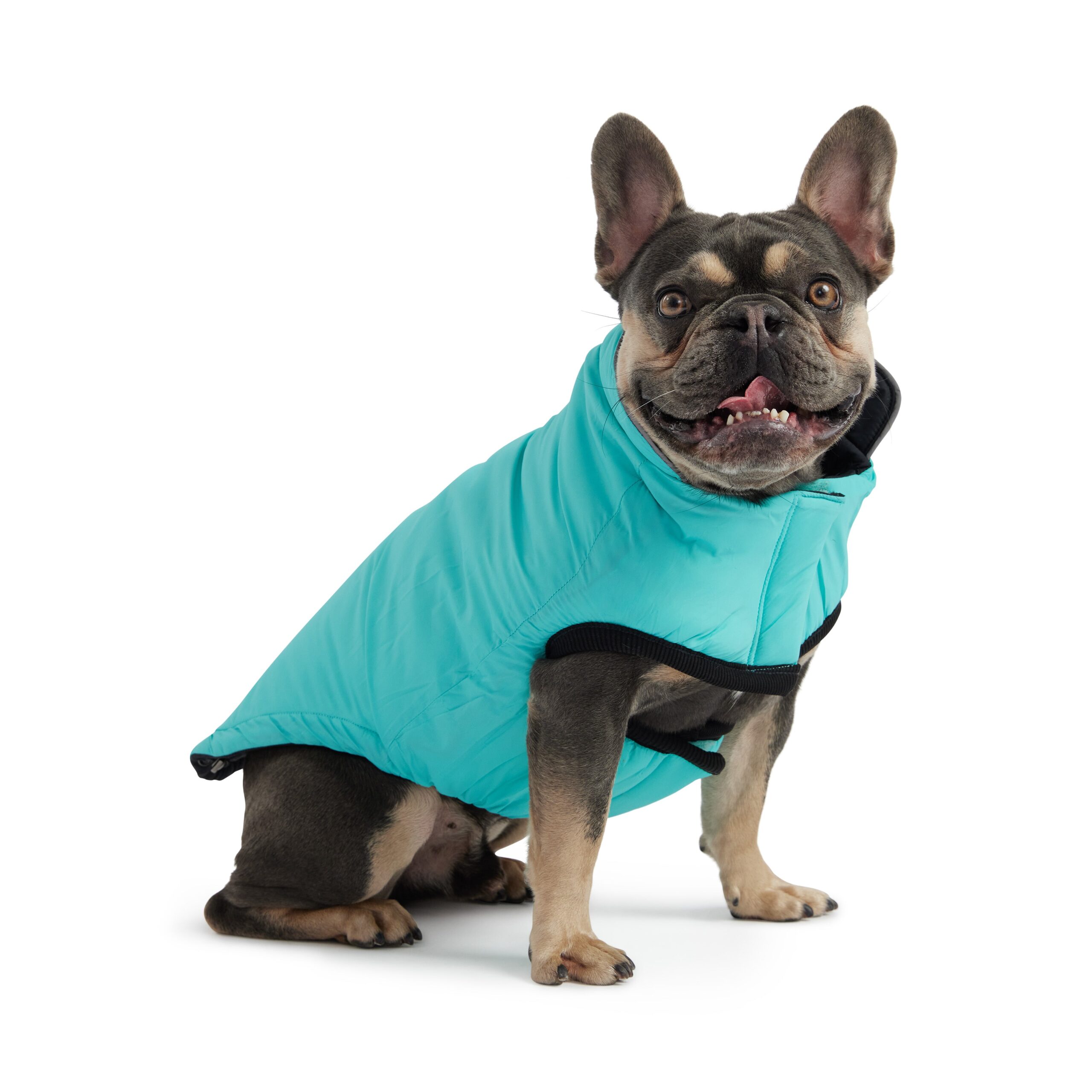 Reversible Chalet Jacket - Black/Aqua - Image 4