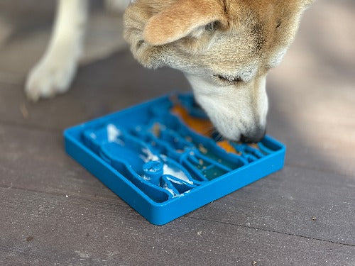 SodaPup Waiting Dogs eTray Shallow Slow Feeder Bowl Enrichment | USA Made