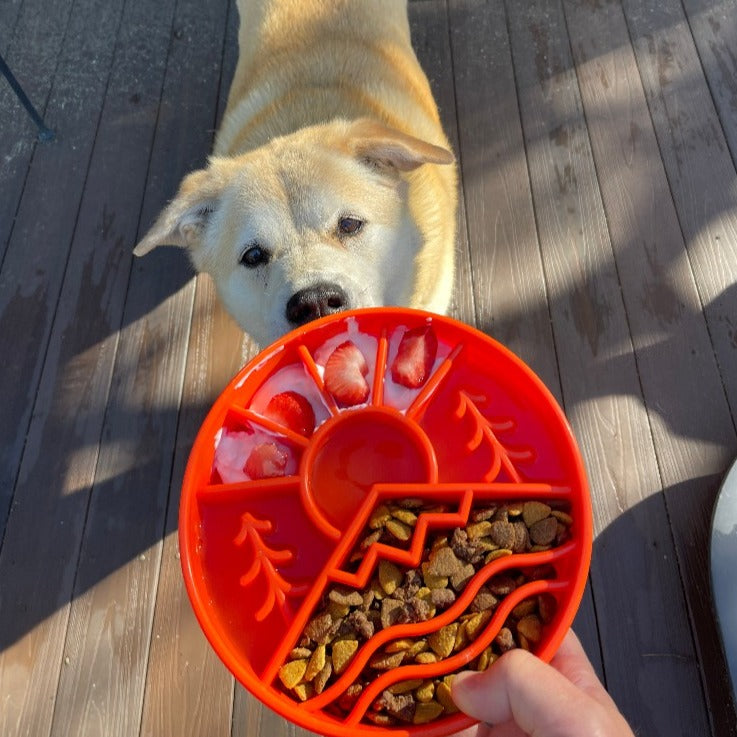 SodaPup Great Outdoors eBowl Slow Feeder Dog Bowl & Enrichment | USA Made
