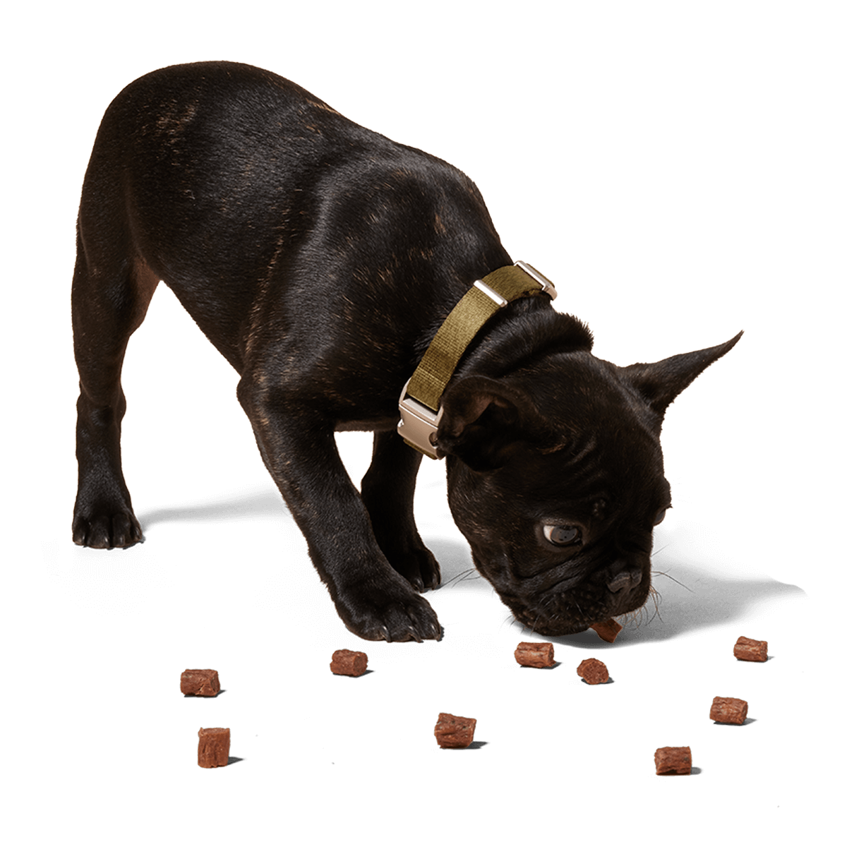 Love Nuggets - Beef Training Treats . - Image 3