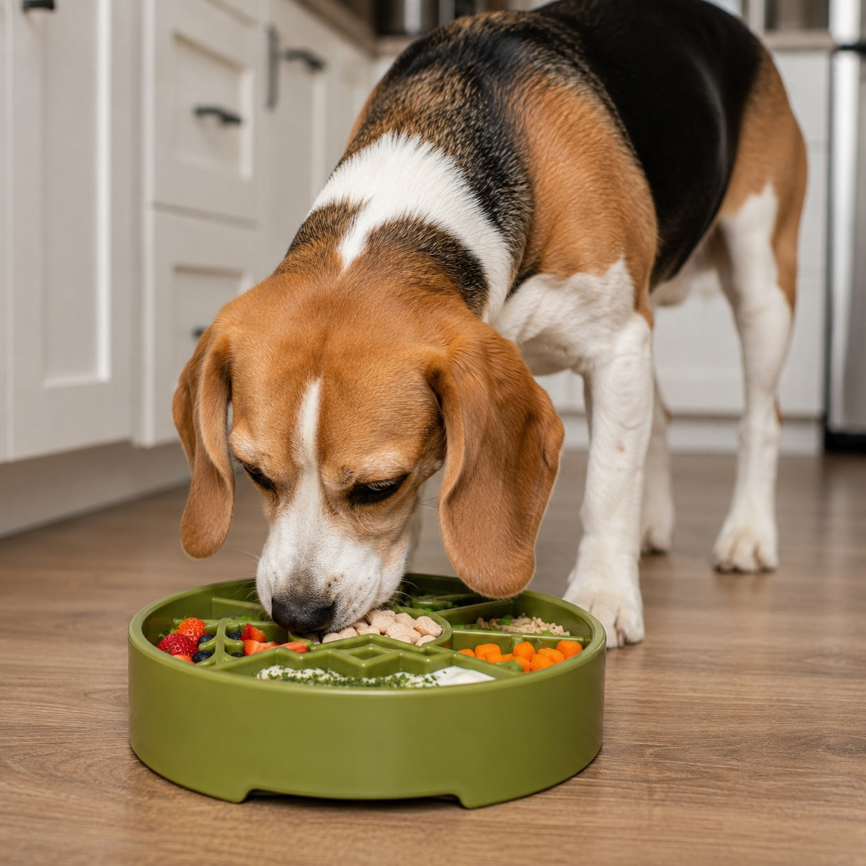 SodaPup Great Outdoors eBowl Slow Feeder Dog Bowl & Enrichment | USA Made