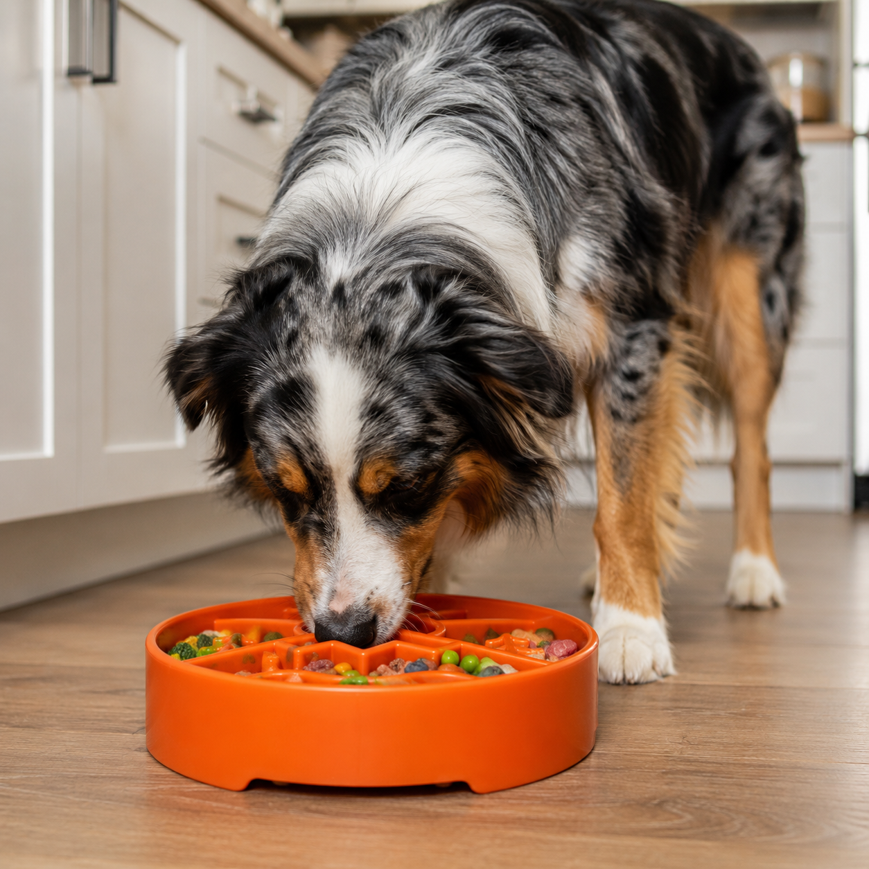 SodaPup Great Outdoors eBowl Slow Feeder Dog Bowl & Enrichment | USA Made
