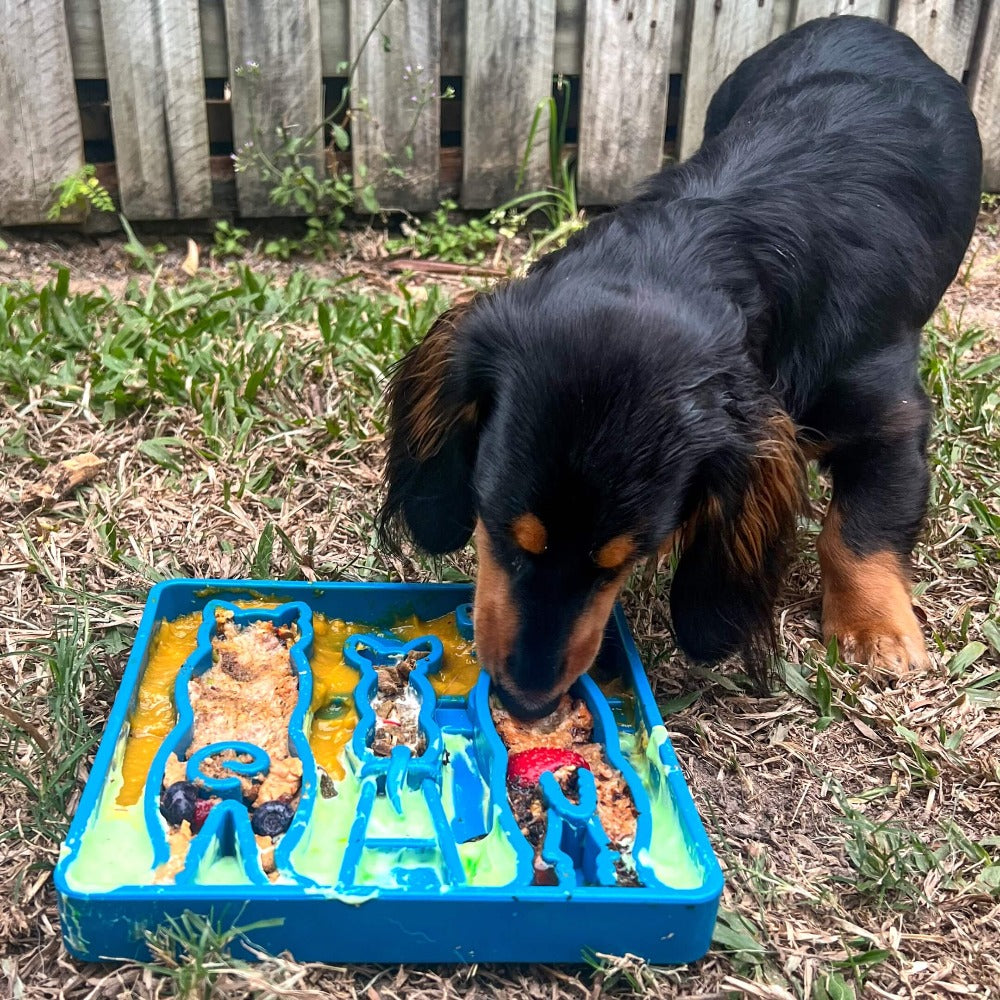SodaPup Waiting Dogs eTray Shallow Slow Feeder Bowl Enrichment | USA Made