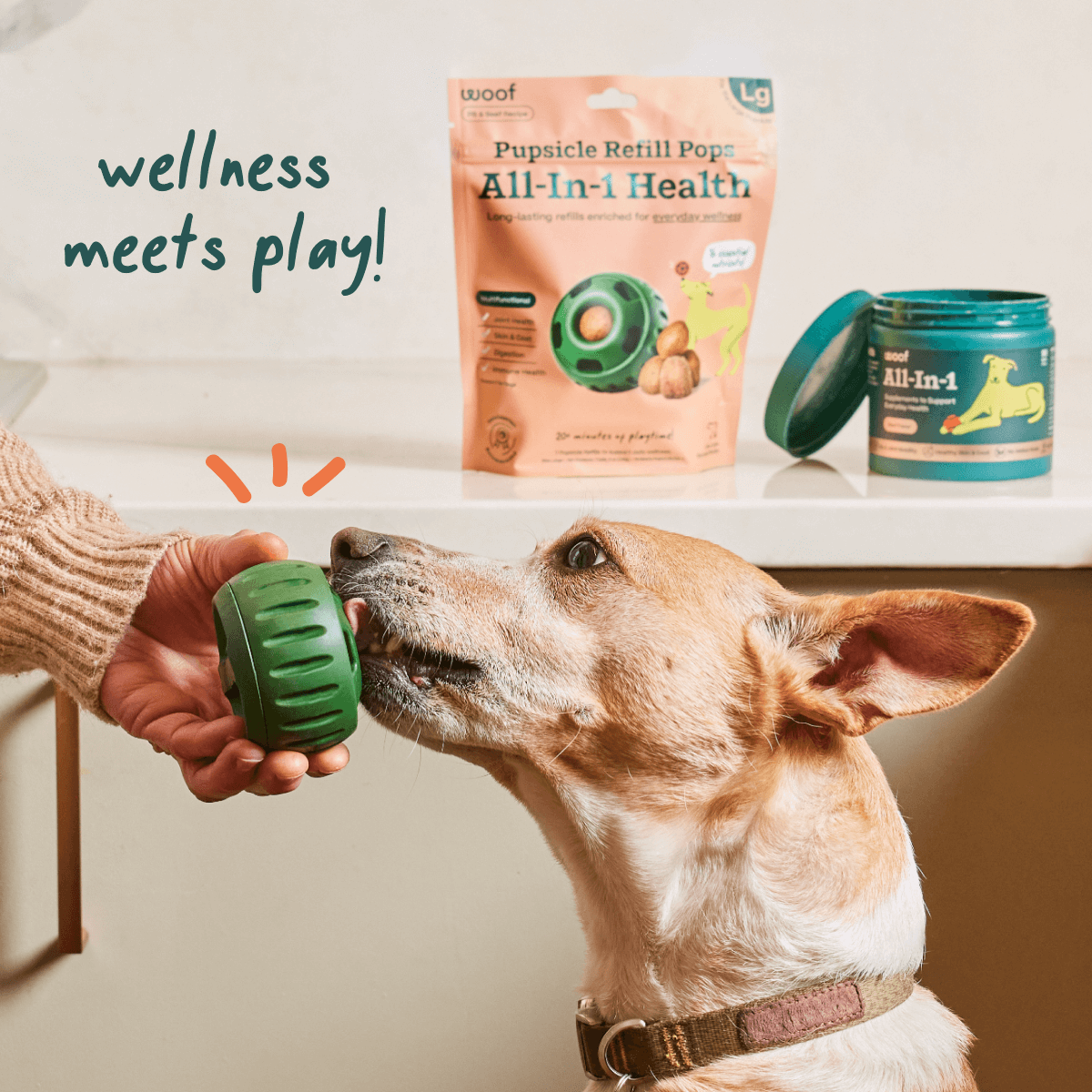 All-in-1 Wellness Pops . - Image 5