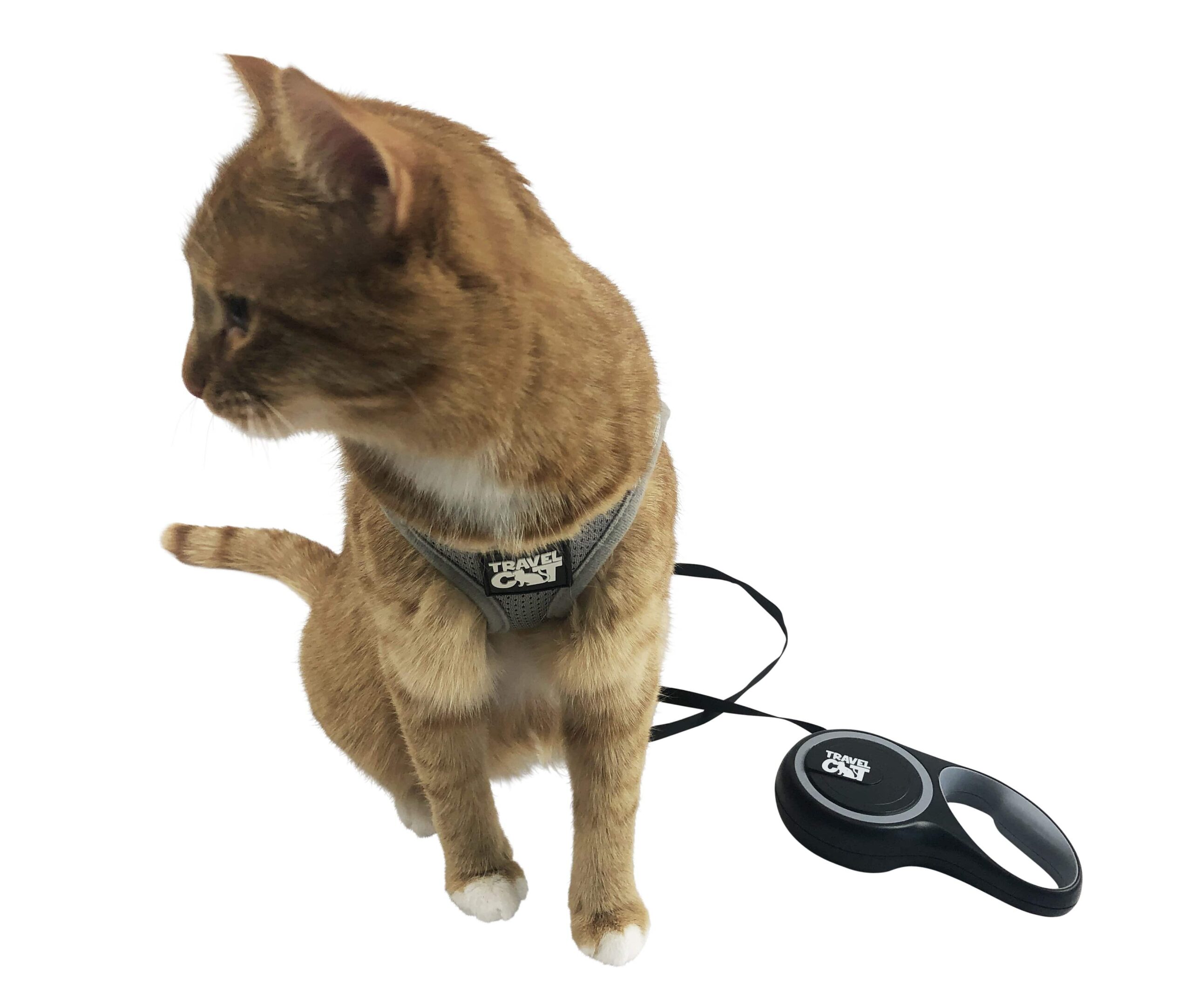 "The Captain" Retractable Leash for Cats - Image 3