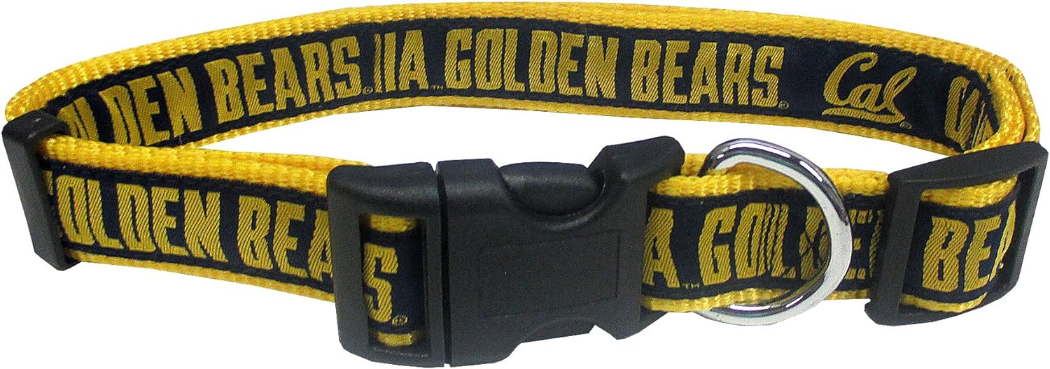 CALIFORNIA GOLDEN BEAR COLLAR