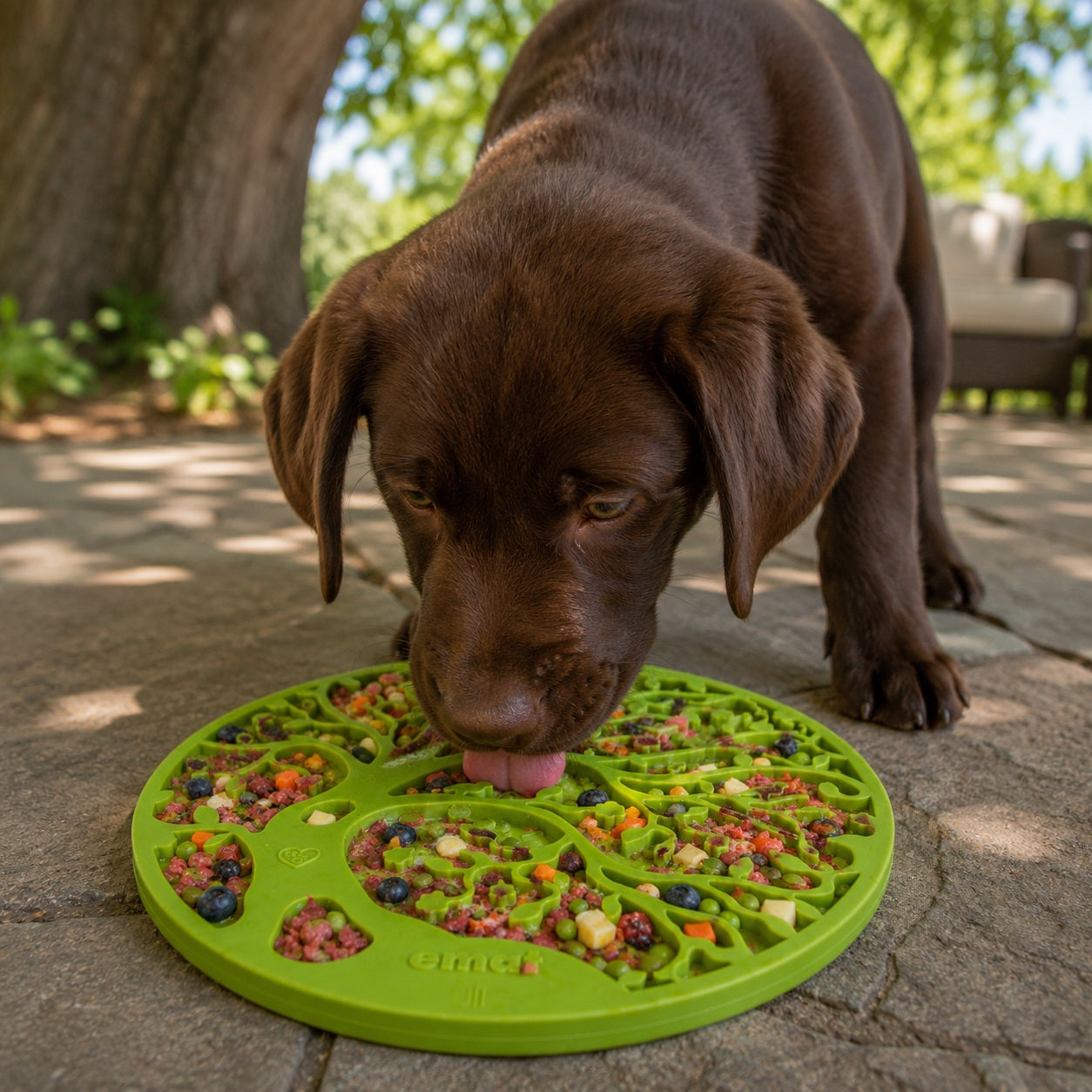 SodaPup Tree Life eMat Enrichment Lick Mat Dogs Cats Suction Cups | Design USA Made