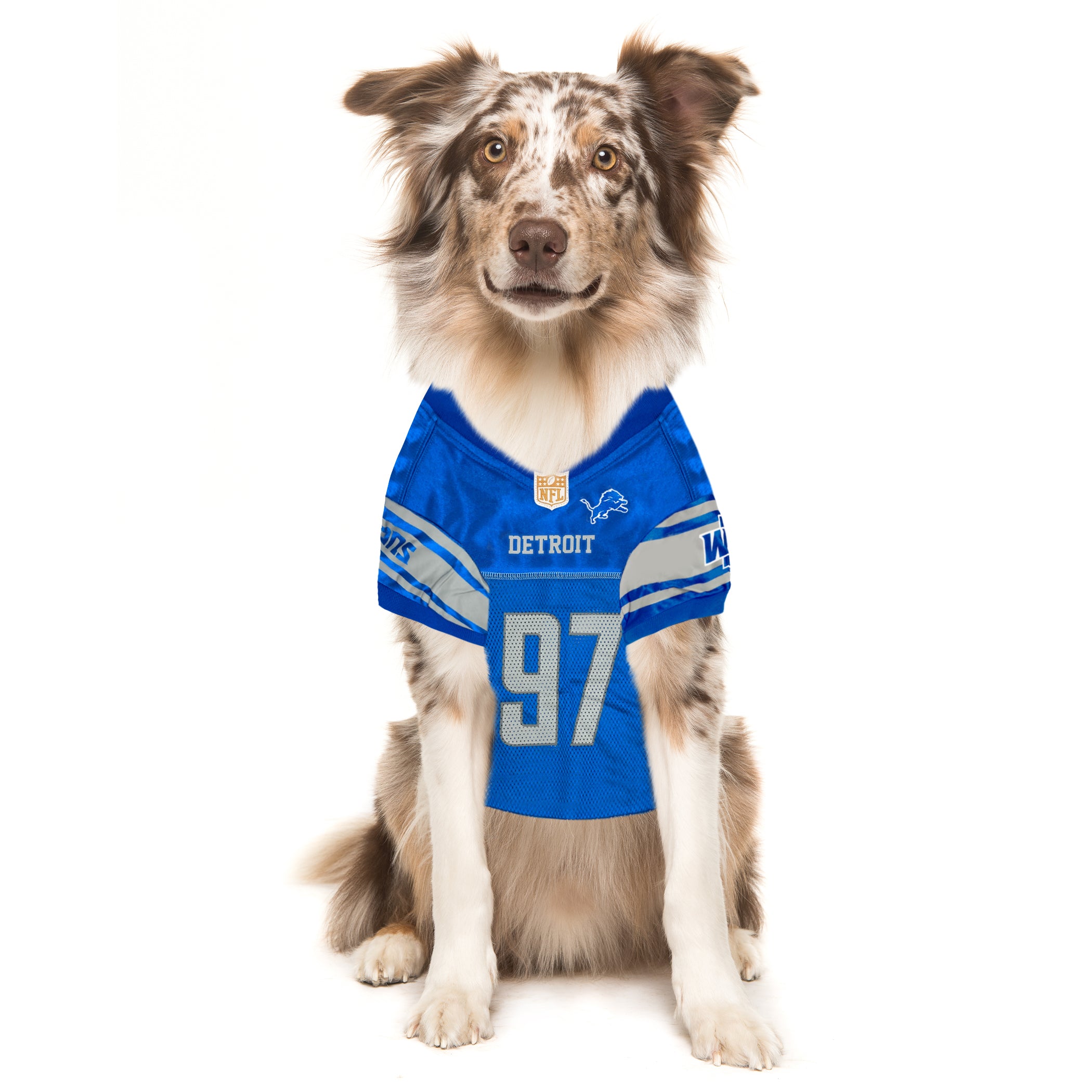 Adian Hutchinsons Detroit Lions Mesh NFL Jerseys - Image 3
