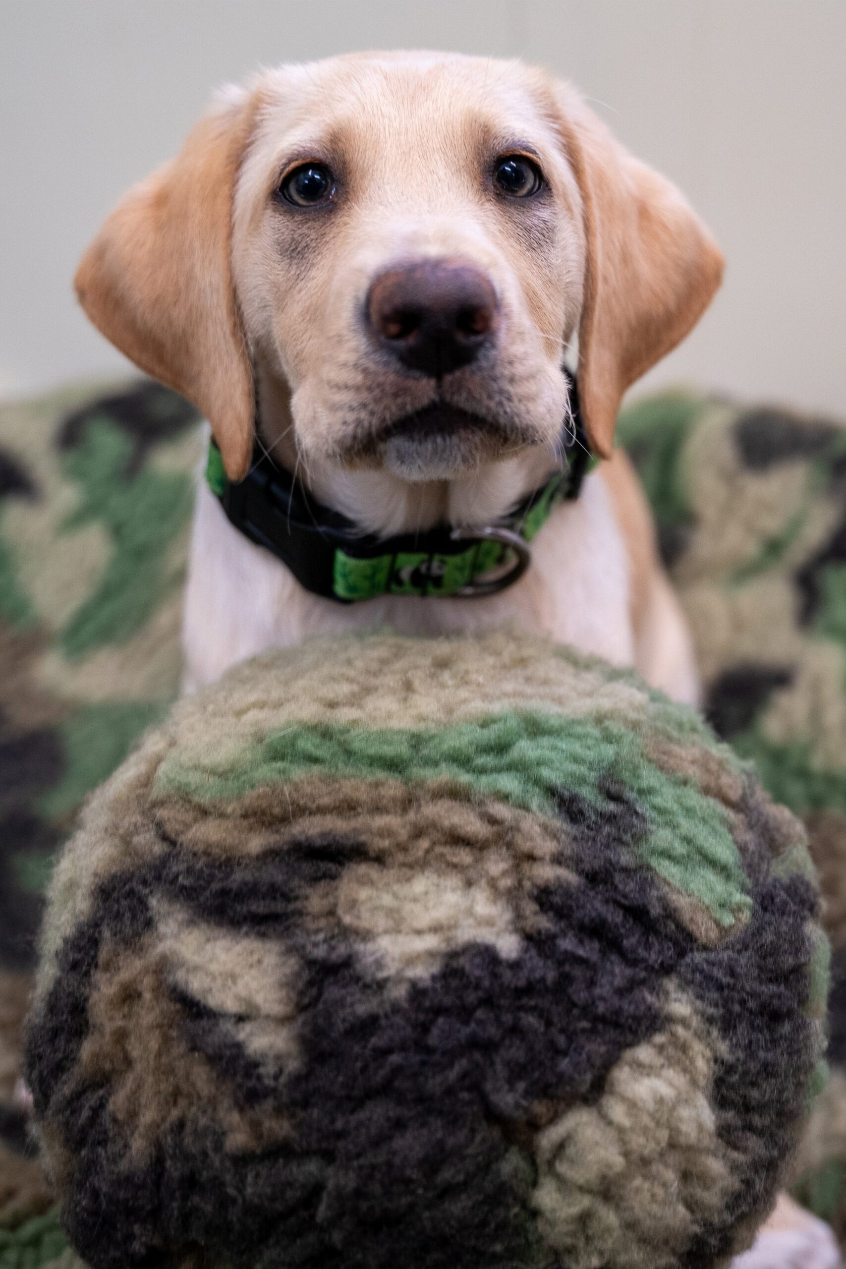 HuggleCause, Warrior Canine Connection, Camo HuggleFleece® Ball - Image 4