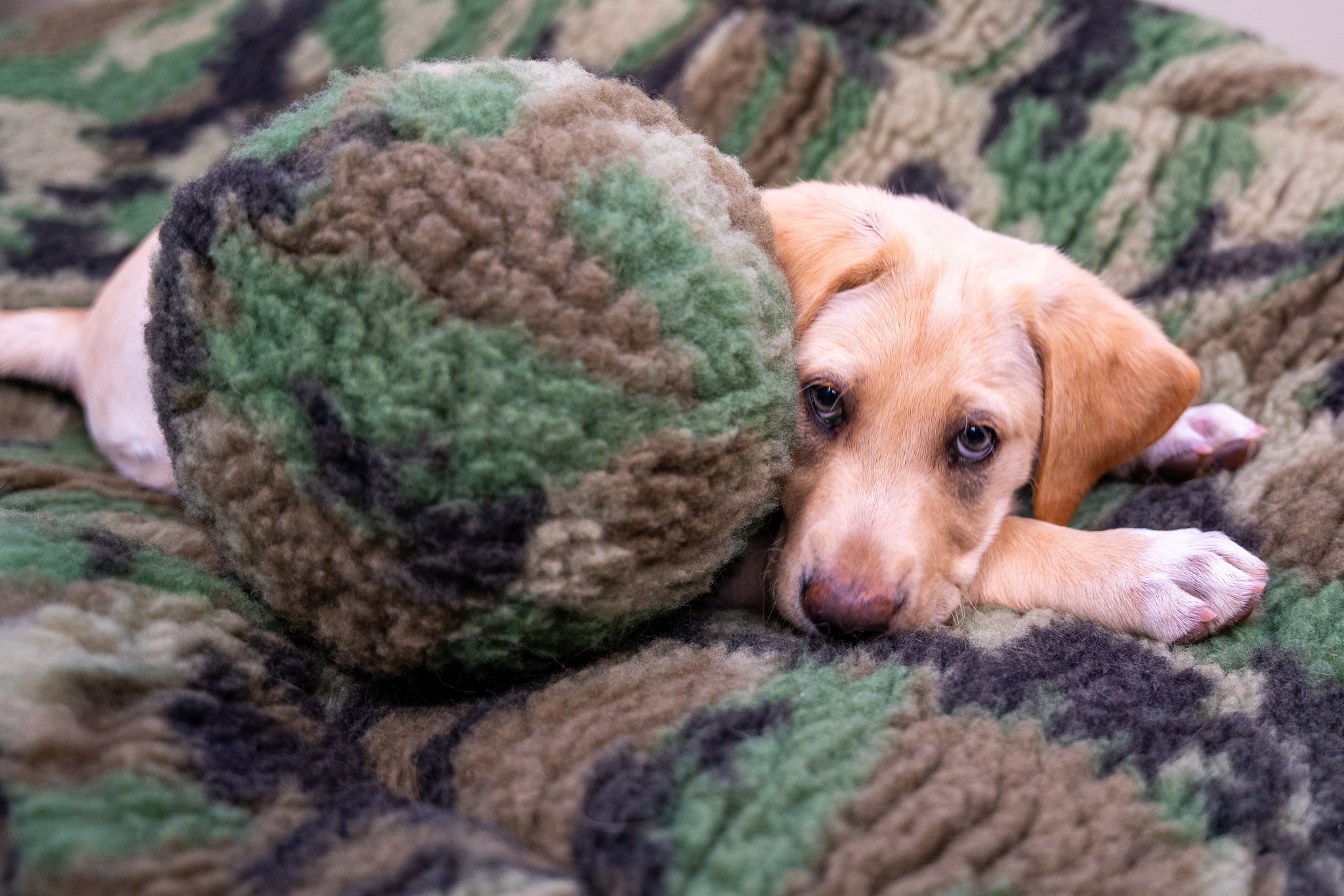 HuggleCause, Warrior Canine Connection, Camo HuggleFleece® Ball - Image 3