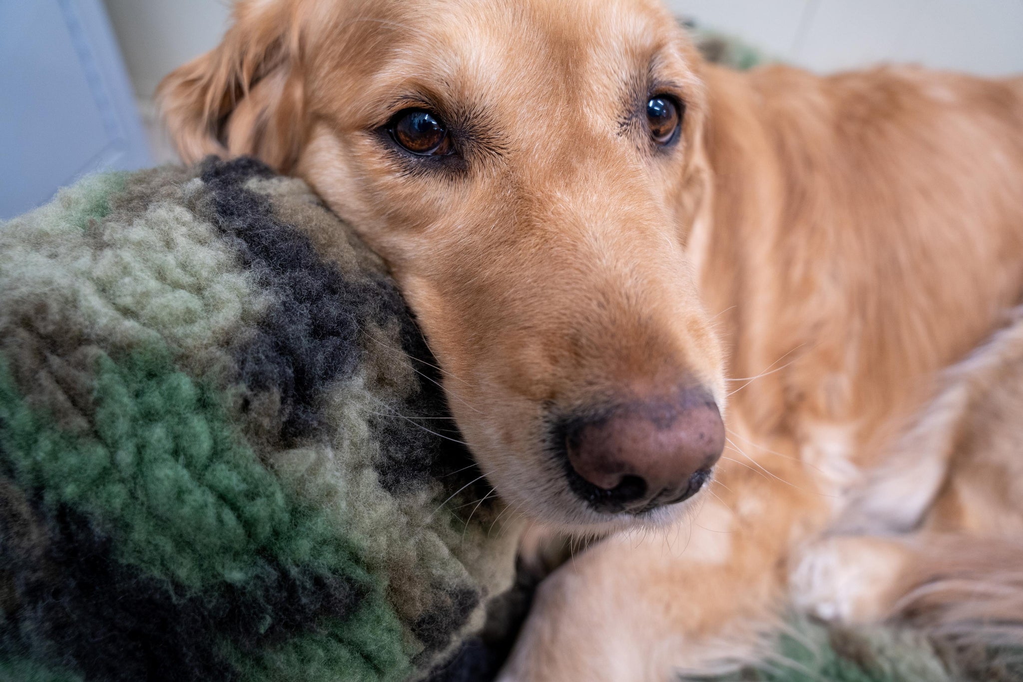 HuggleCause, Warrior Canine Connection, Camo HuggleFleece® Ball - Image 6