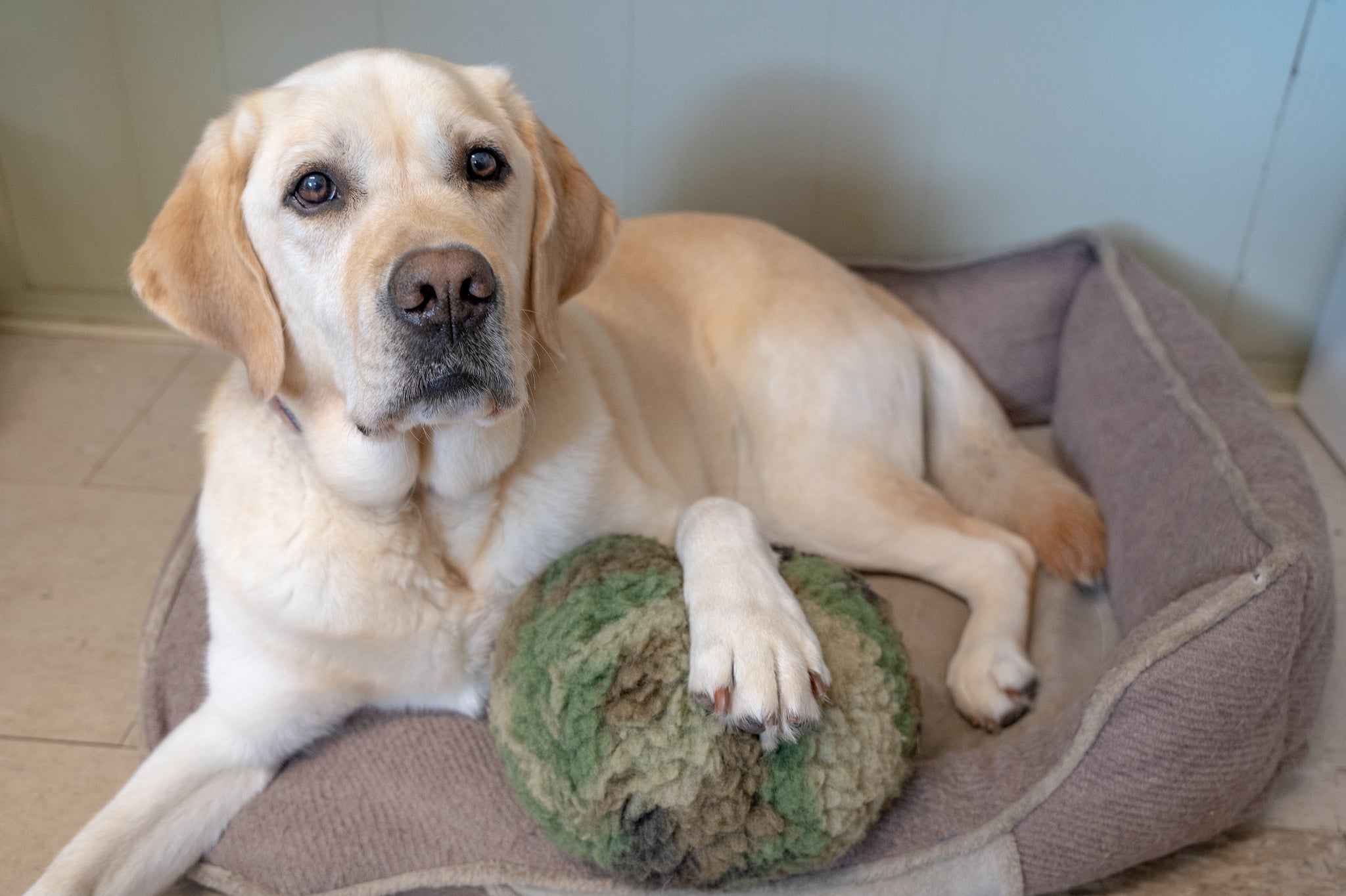 HuggleCause, Warrior Canine Connection, Camo HuggleFleece® Ball - Image 5