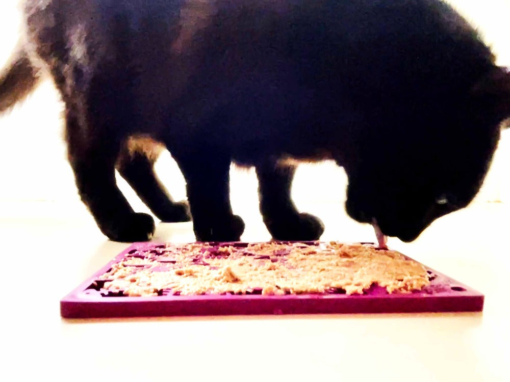 SodaPup Fishy emat Small Enrichment Lick Mat Dogs Cats |