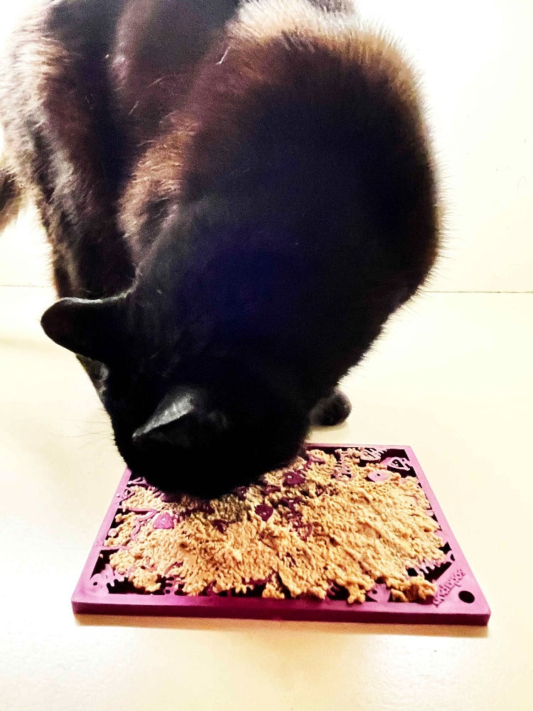 SodaPup Fishy emat Small Enrichment Lick Mat Dogs Cats |