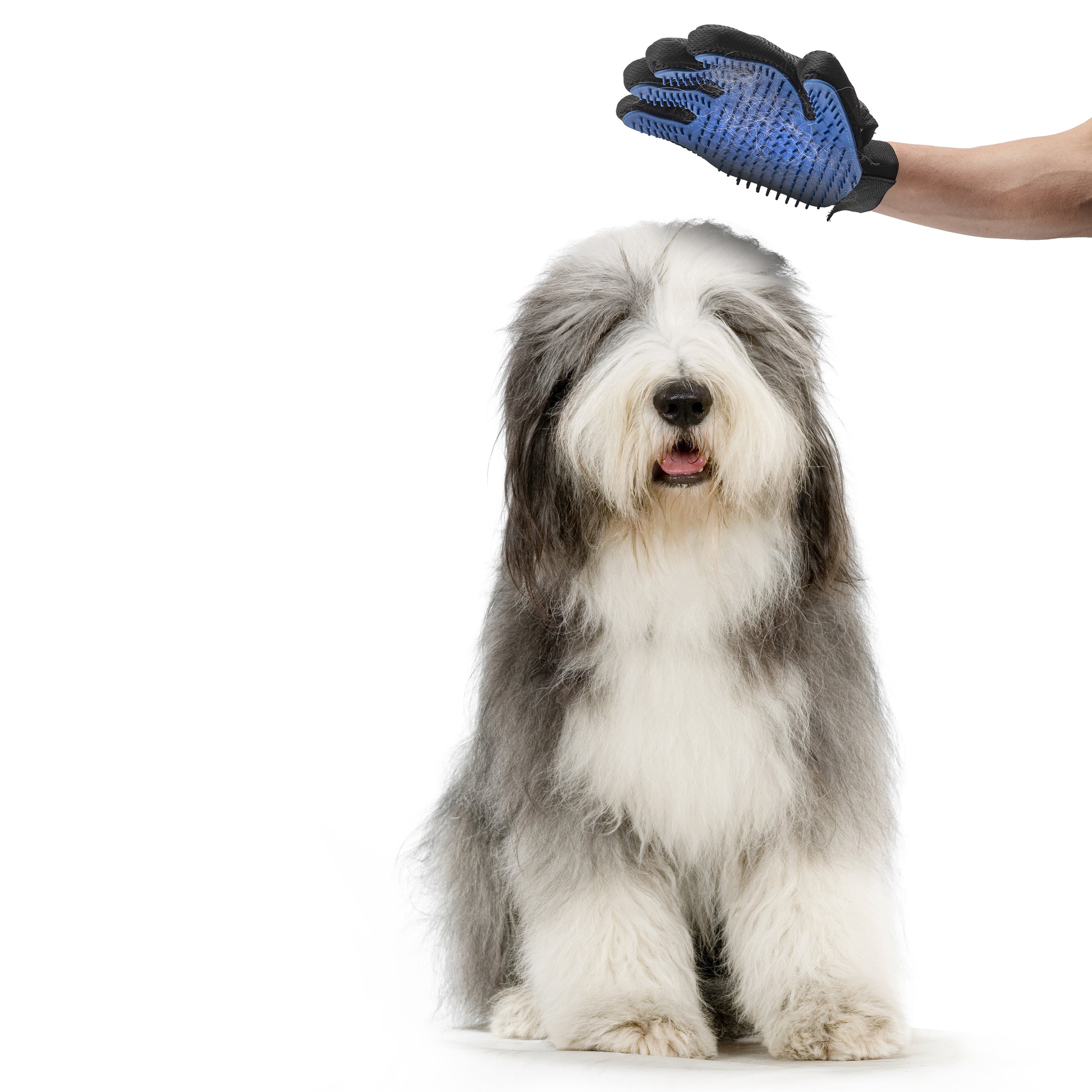 Nice Paws Grooming Mitt - Image 2