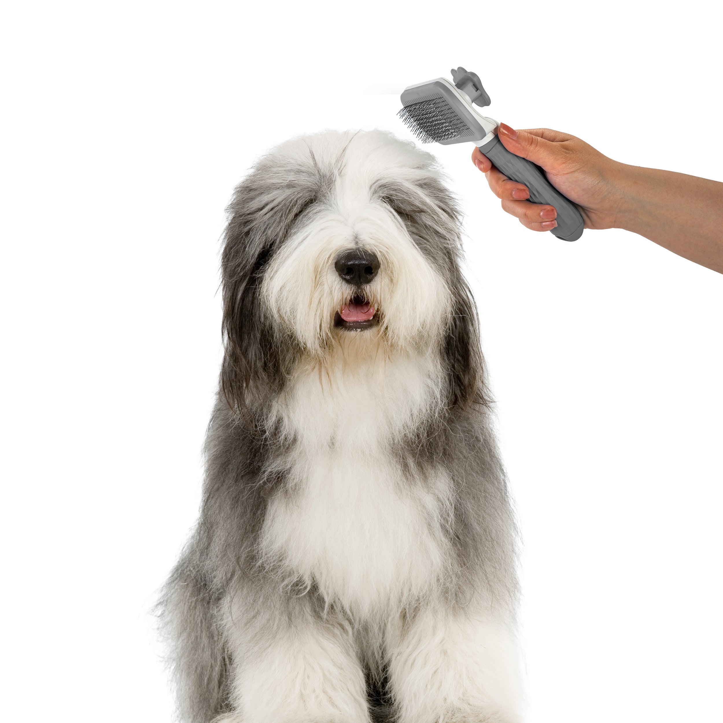 Nice Paws Self Cleaning Pet Slicker Grooming Brush - Image 2