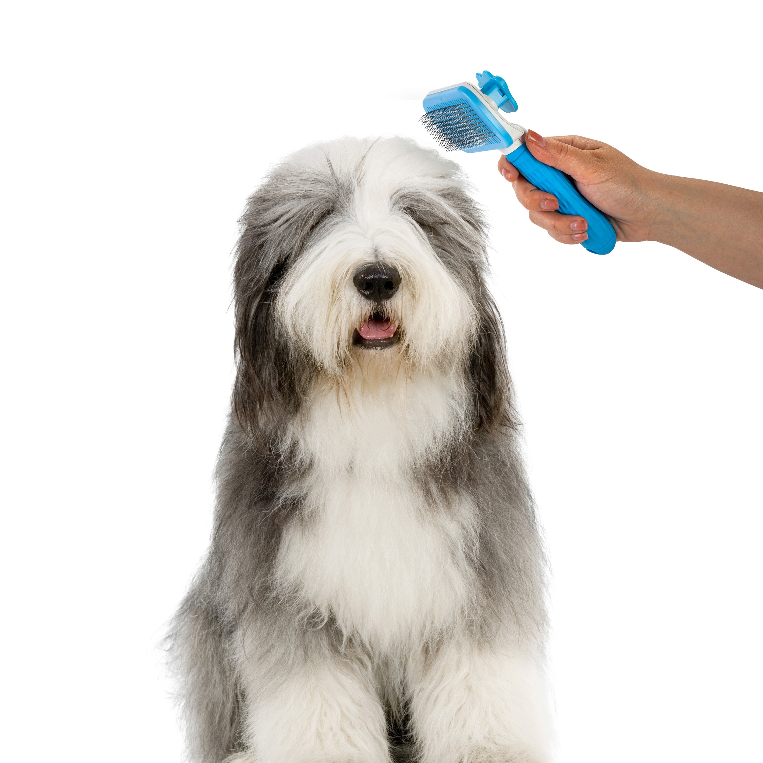 Nice Paws Self Cleaning Pet Slicker Grooming Brush - Image 6