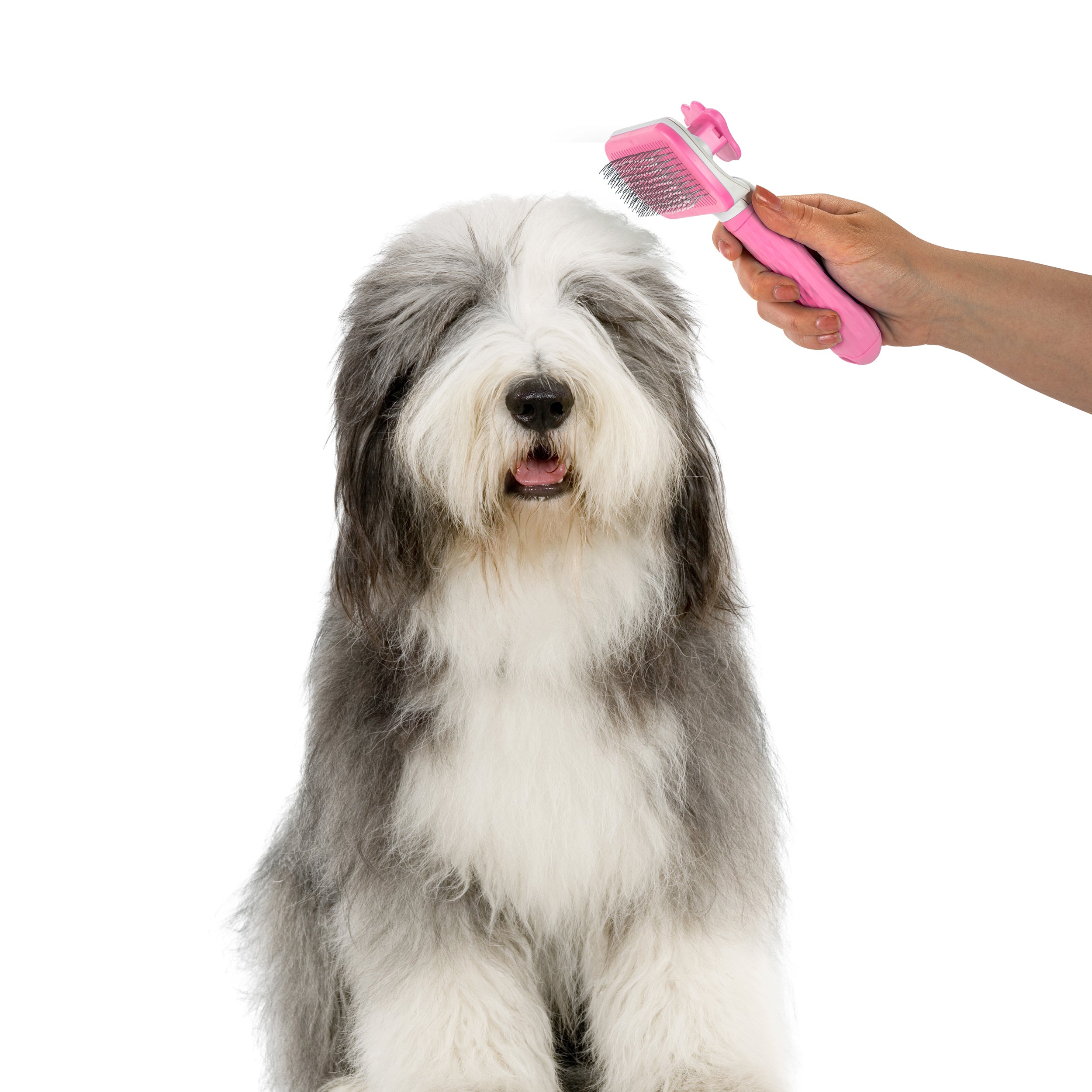 Nice Paws Self Cleaning Pet Slicker Grooming Brush - Image 10