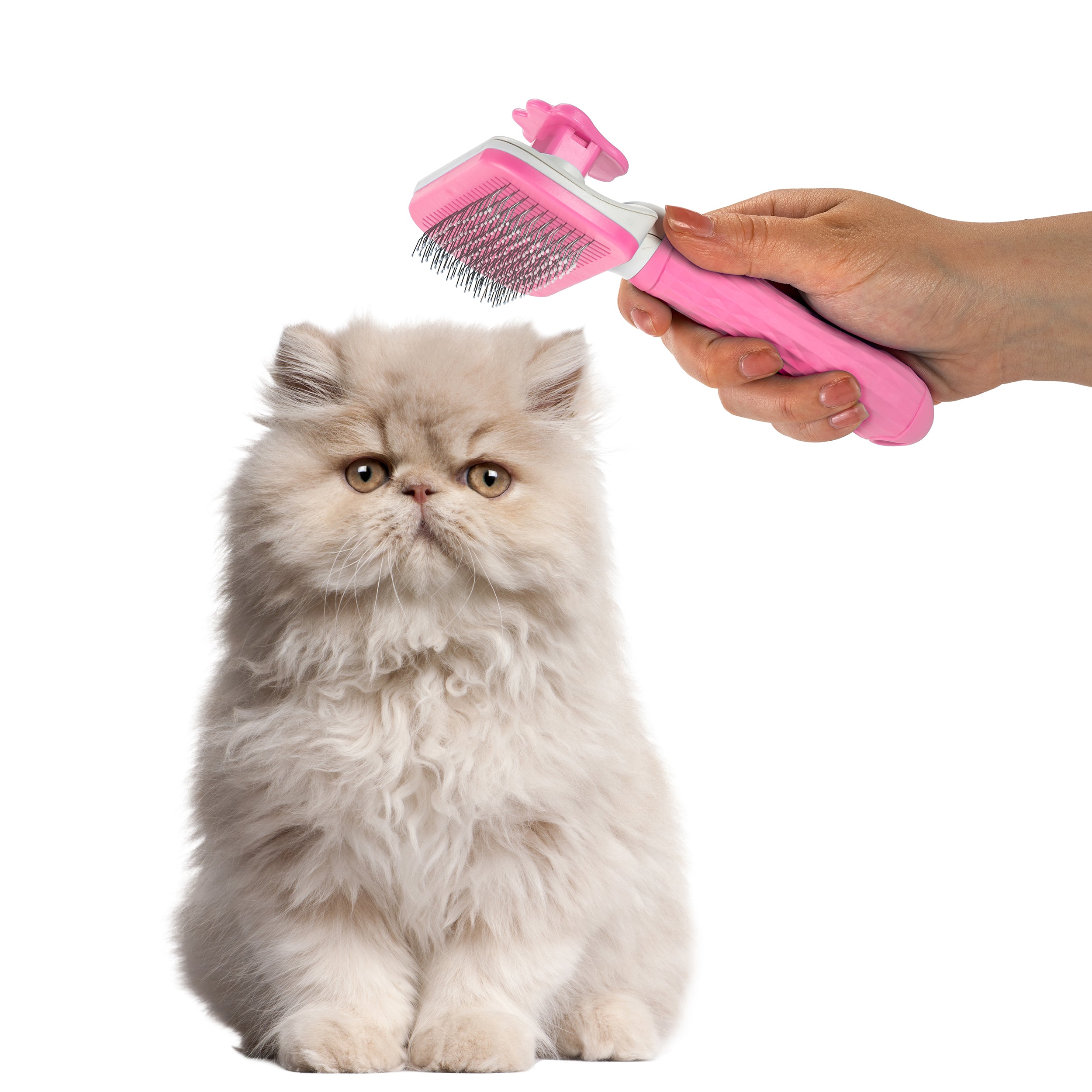 Nice Paws Self Cleaning Pet Slicker Grooming Brush - Image 11