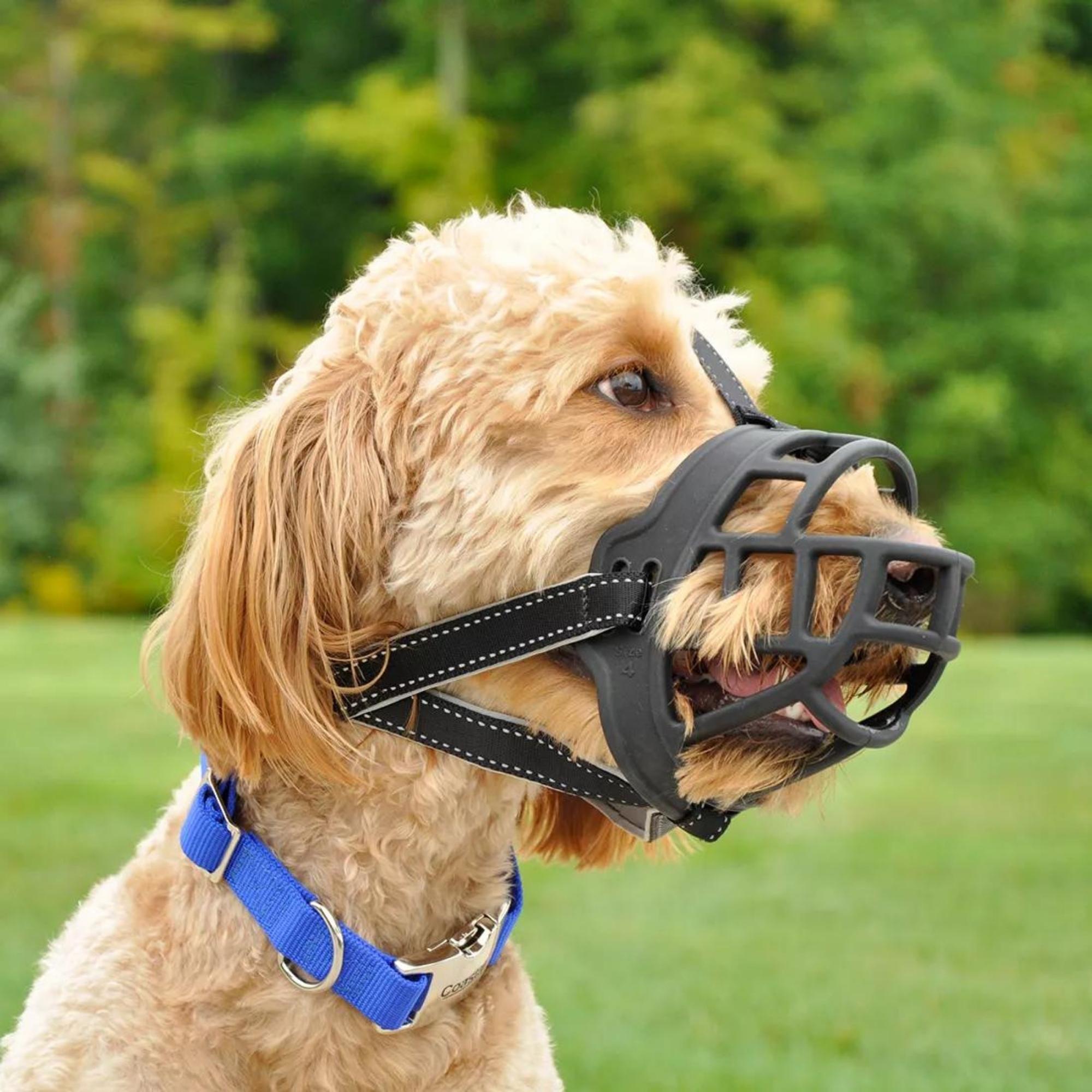 Coastal Pet Soft Basket Muzzle Black Size 1: W-8" x L- 2.5" - Image 2