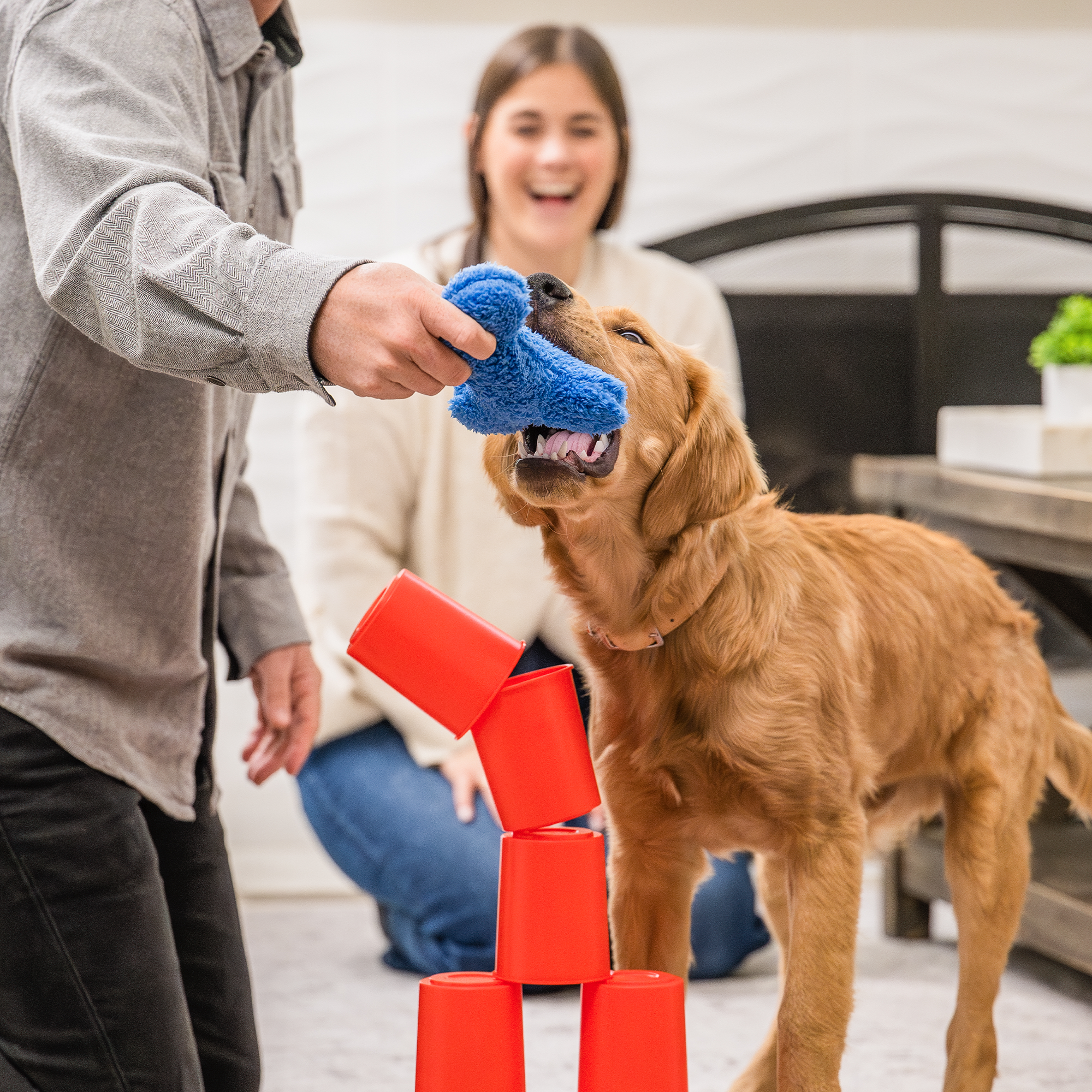 The Dog's Best Friend Game™ - Image 5