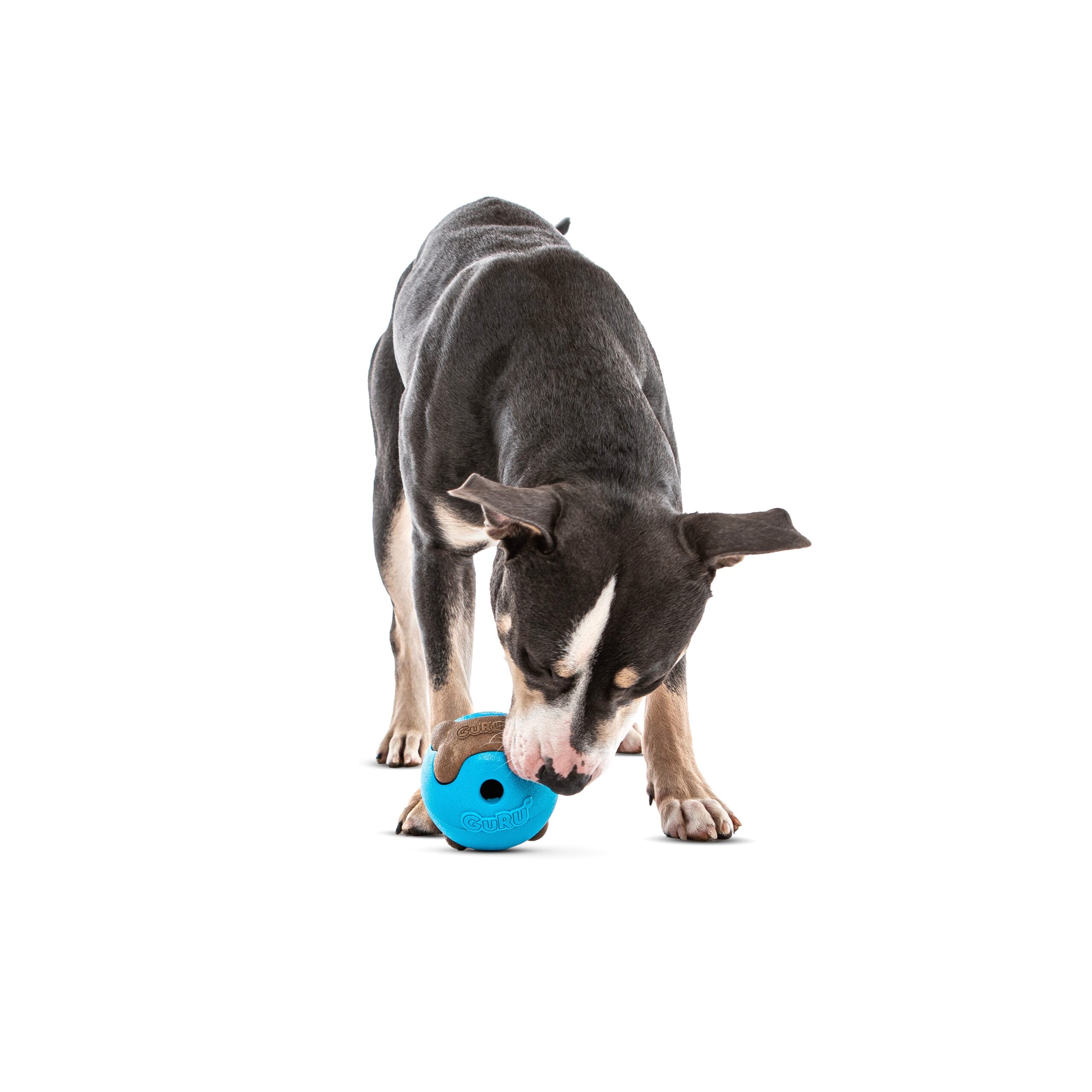 GURU Busy Ball Med/Large - Image 3
