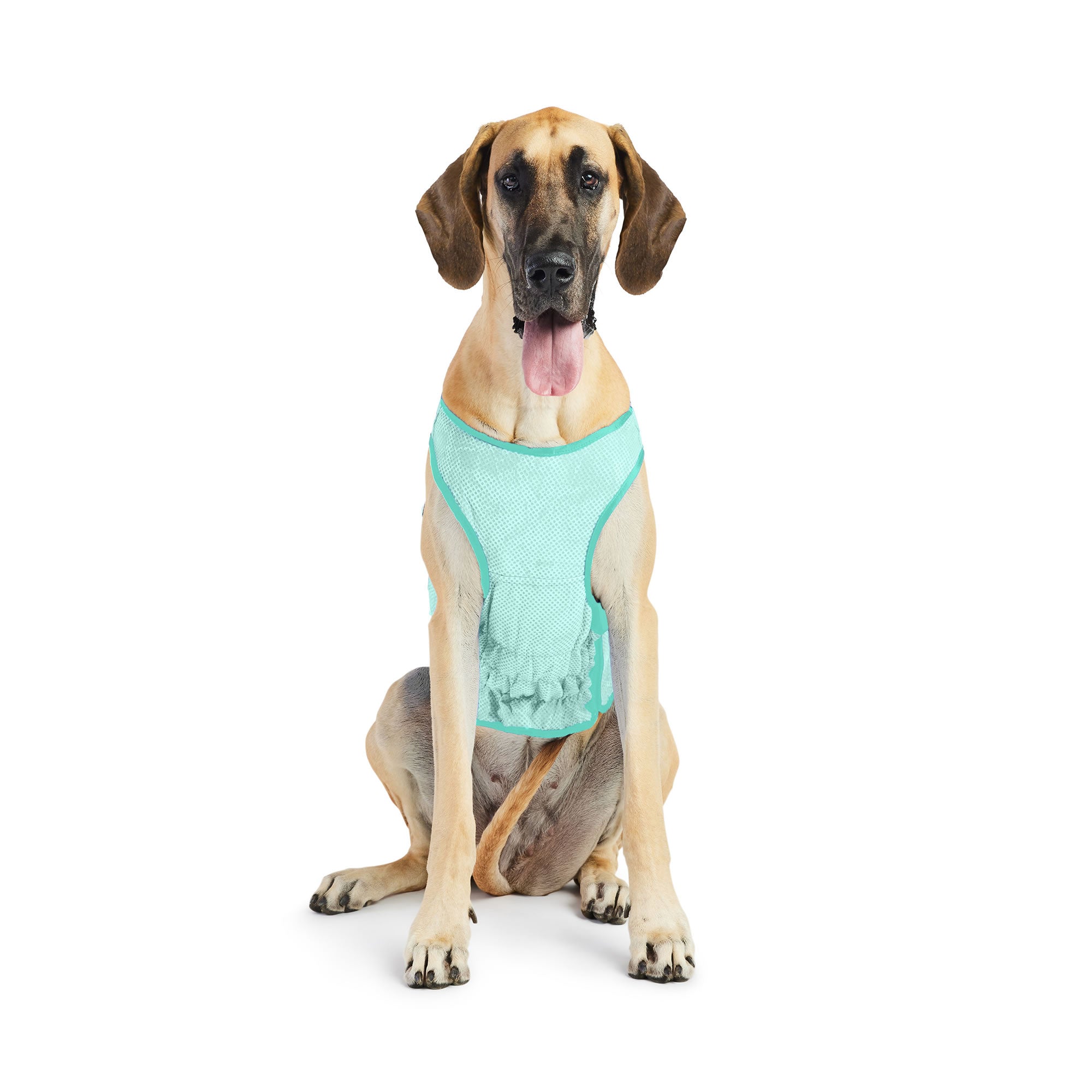Elasto-Fit Ice Vest - Aqua - Image 12