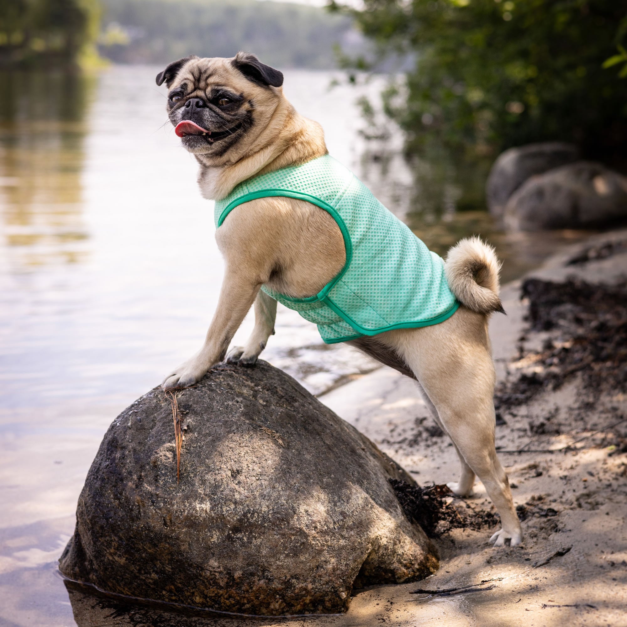 Elasto-Fit Ice Vest - Aqua - Image 13