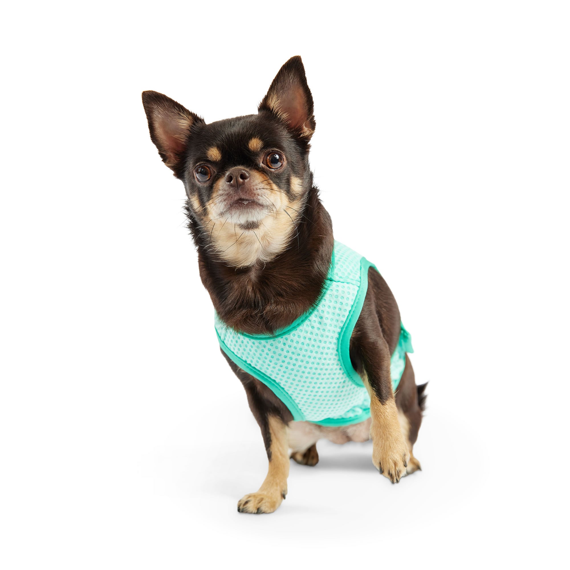 Elasto-Fit Ice Vest - Aqua - Image 3