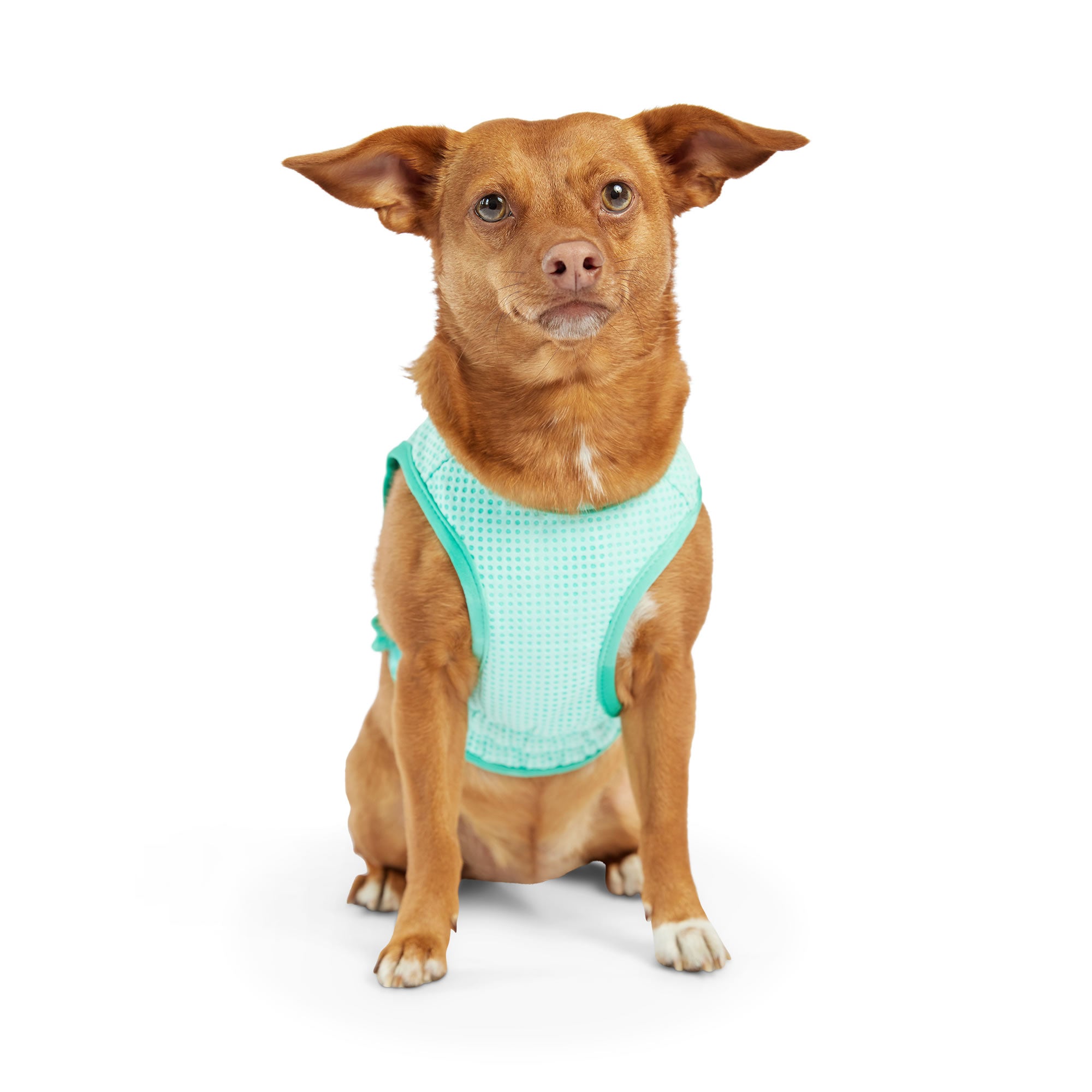 Elasto-Fit Ice Vest - Aqua - Image 4