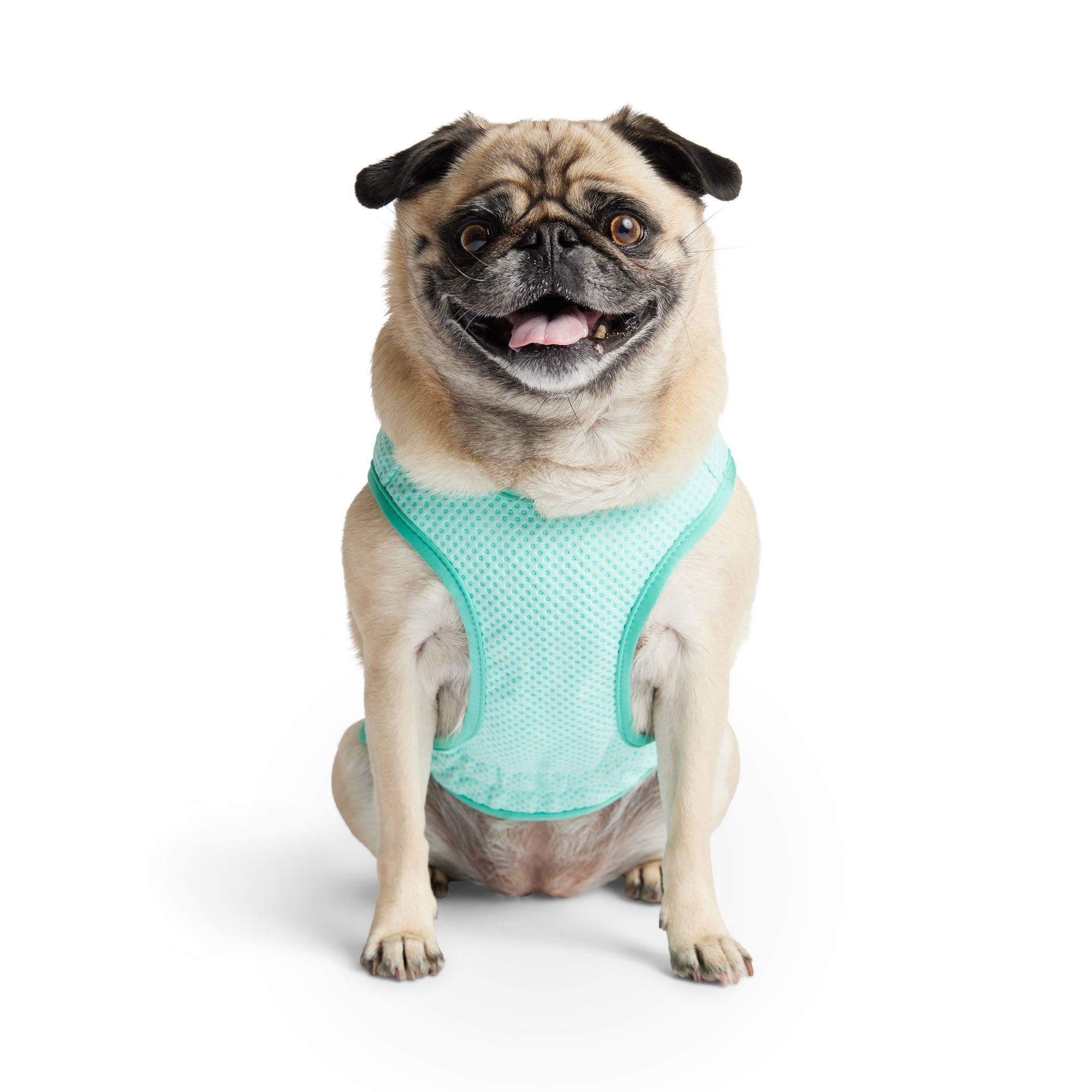 Elasto-Fit Ice Vest - Aqua - Image 5
