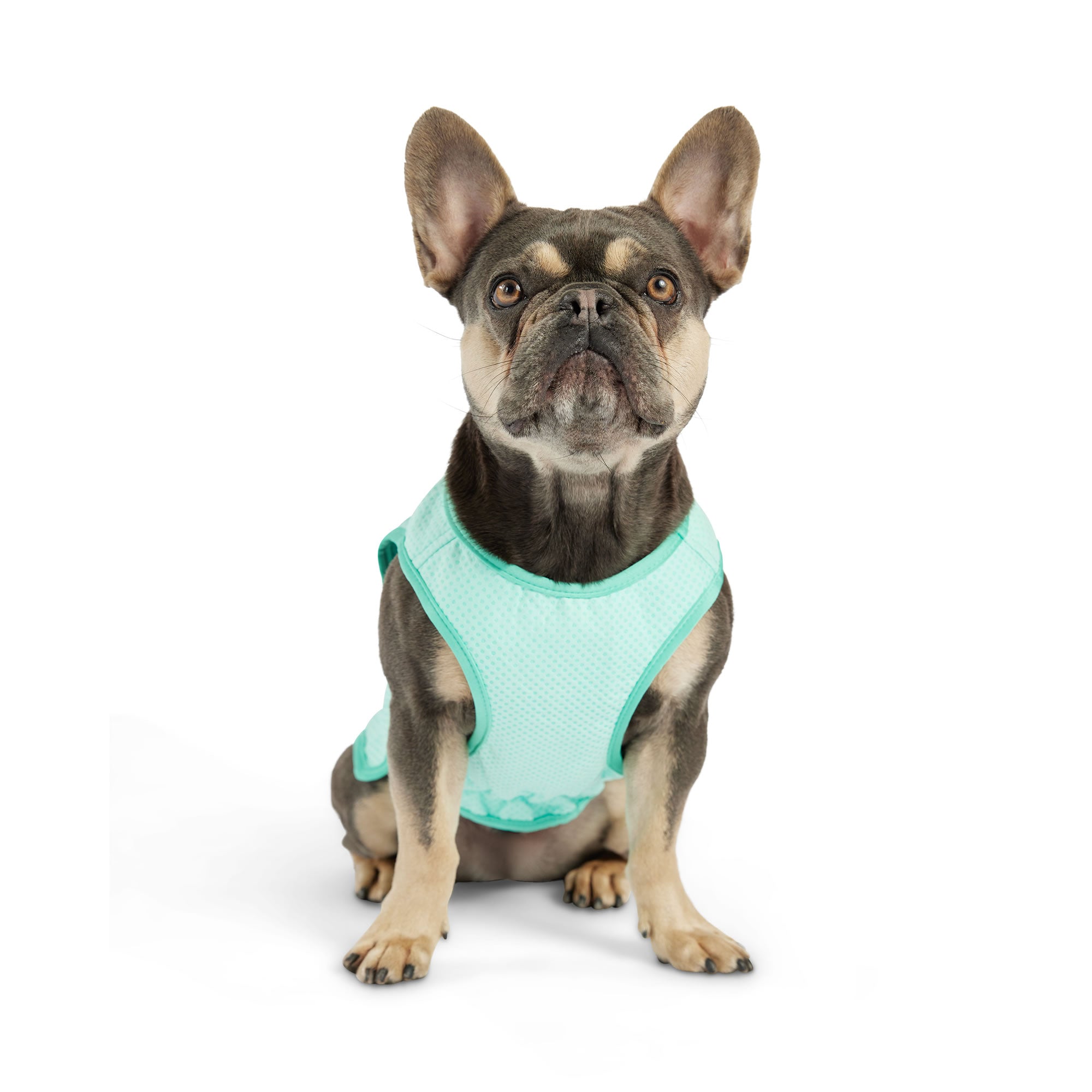 Elasto-Fit Ice Vest - Aqua - Image 6