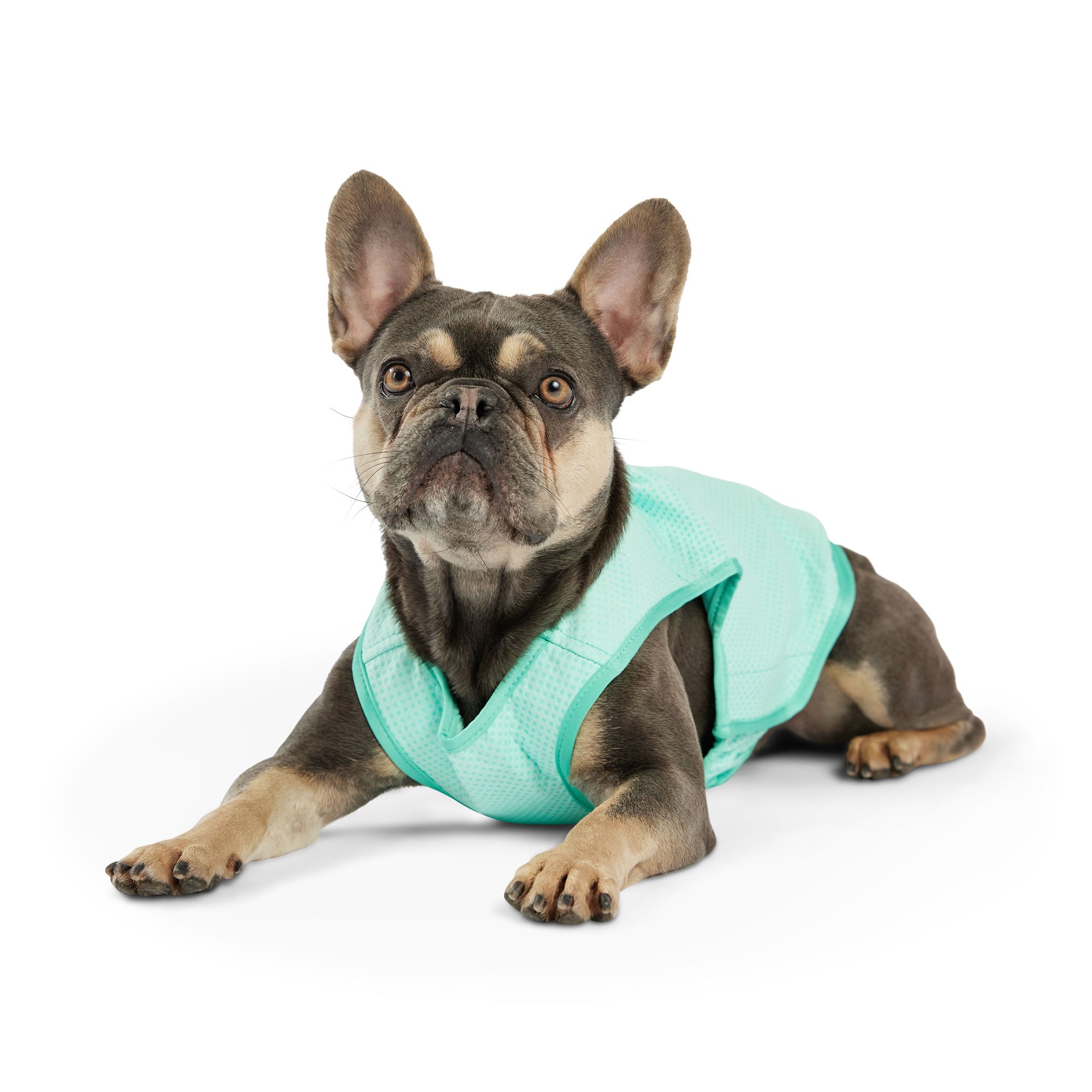 Elasto-Fit Ice Vest - Aqua - Image 7