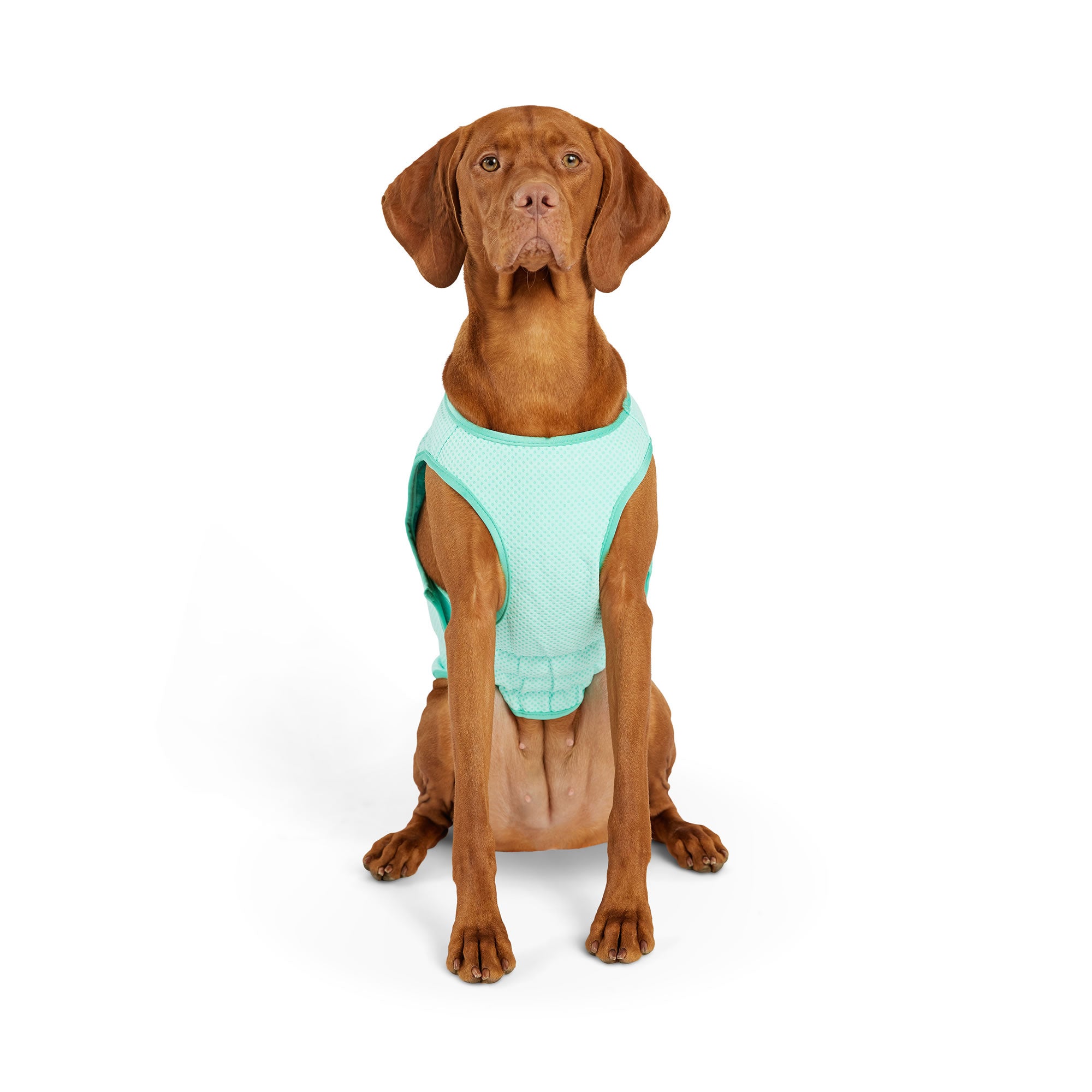 Elasto-Fit Ice Vest - Aqua - Image 8