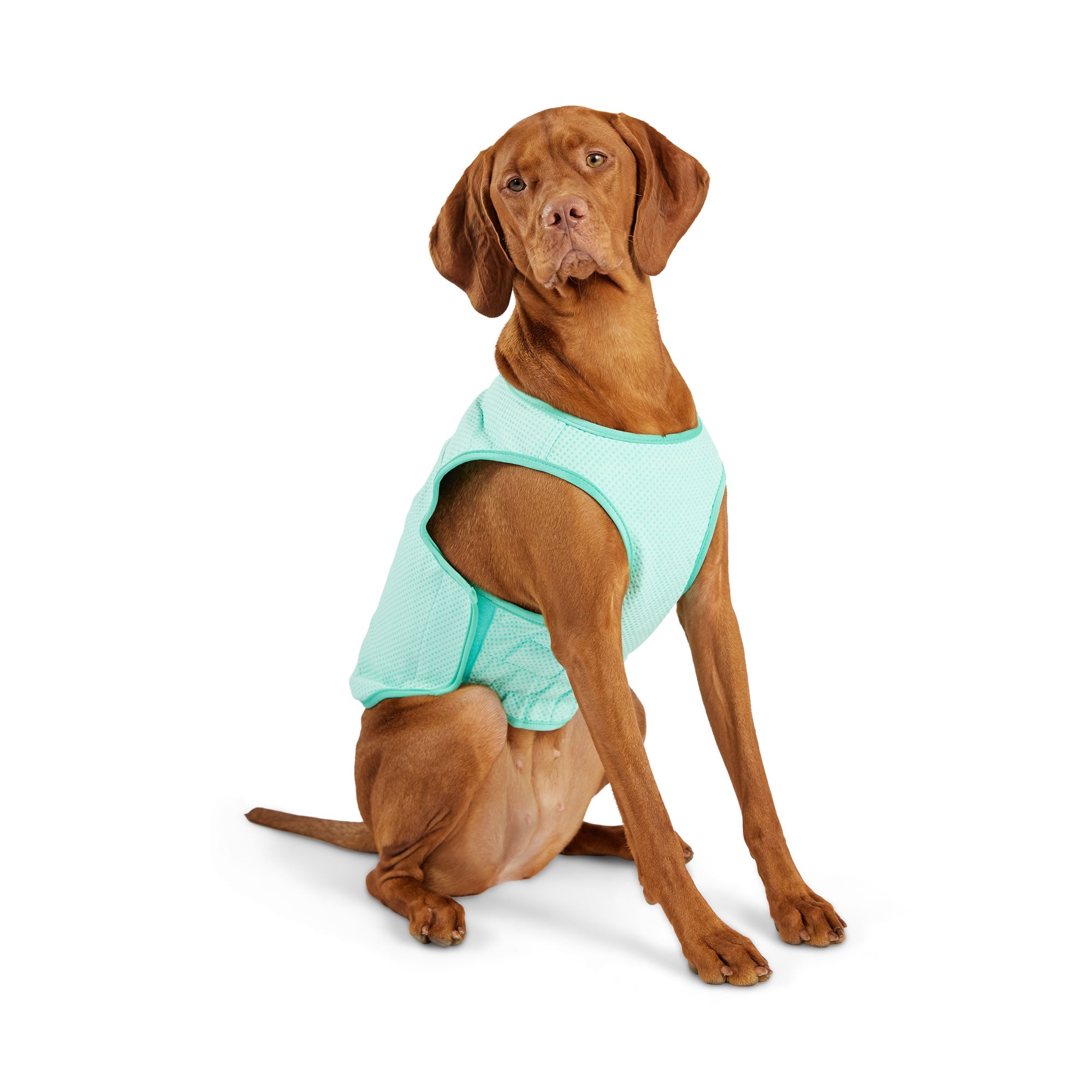 Elasto-Fit Ice Vest - Aqua - Image 9