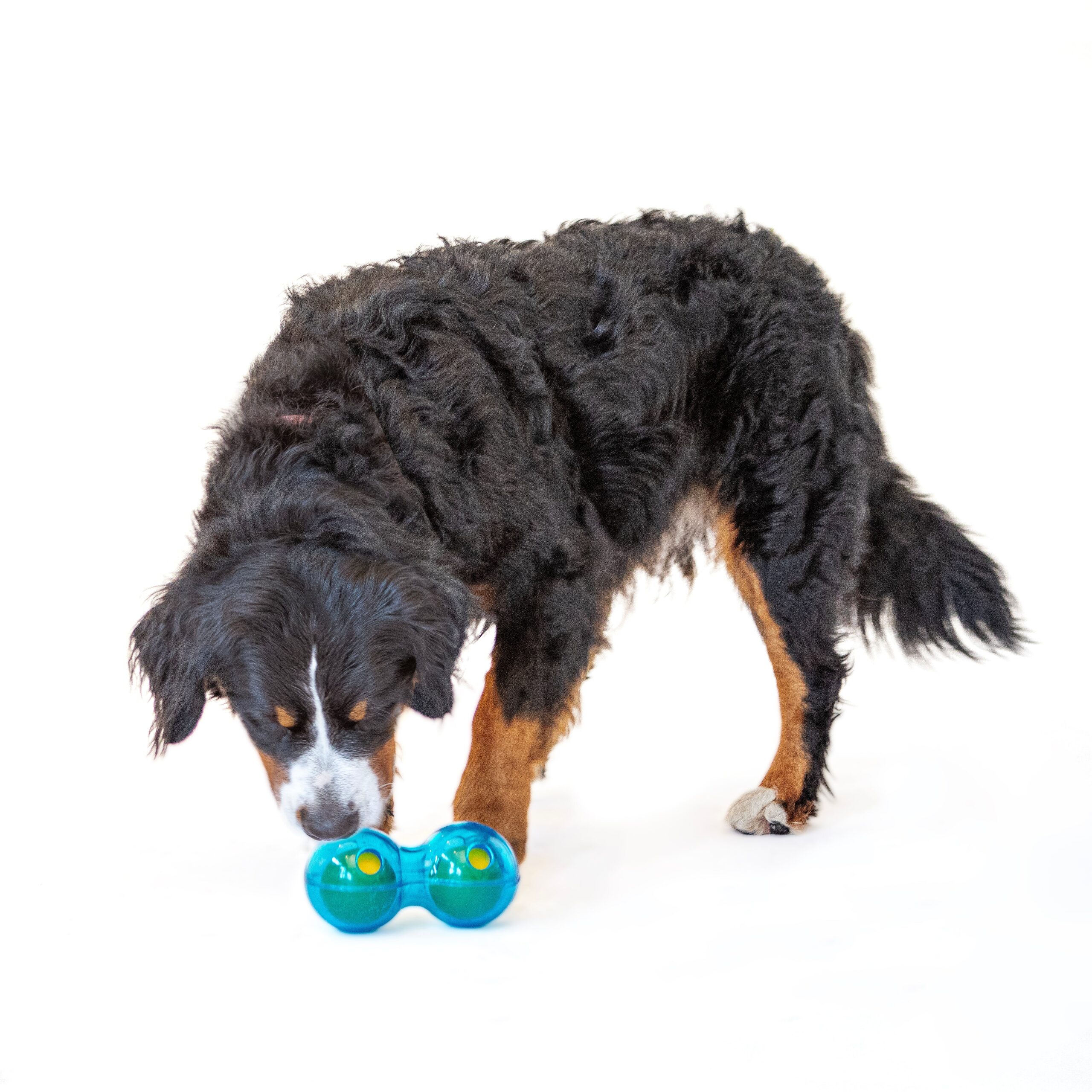 GURU Duo Ball - Image 2