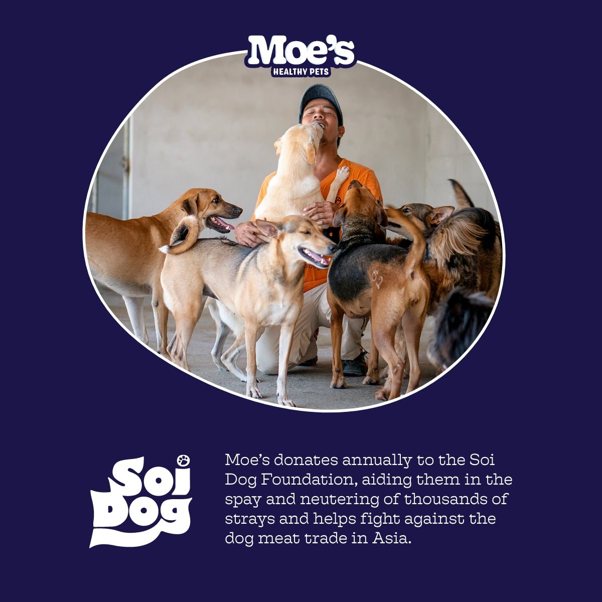 Chillout Chews - Moe's Healthy Pets