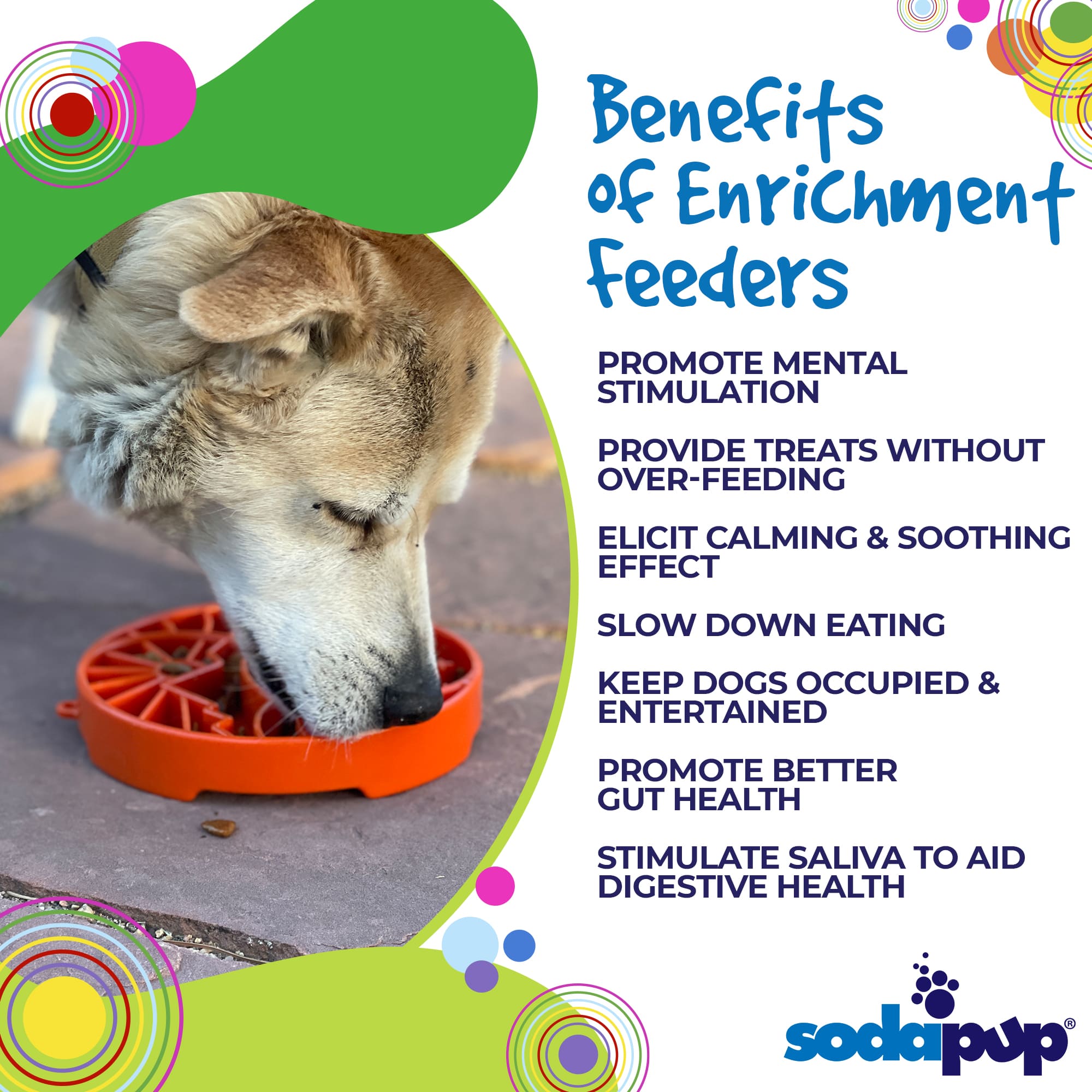 SodaPup Sun Moon eTray Shallow Slow Feeder Dog Bowl Enrichment | USA Made