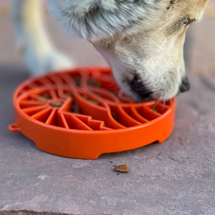 SodaPup Sun Moon eTray Shallow Slow Feeder Dog Bowl Enrichment | USA Made