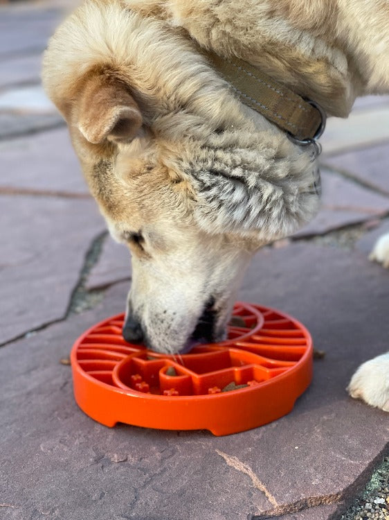 SodaPup Sun Moon eTray Shallow Slow Feeder Dog Bowl Enrichment | USA Made