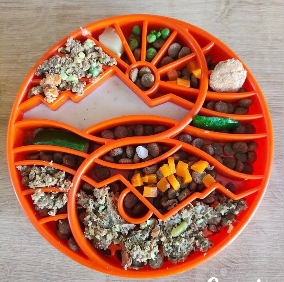 SodaPup Sun Moon eTray Shallow Slow Feeder Dog Bowl Enrichment | USA Made