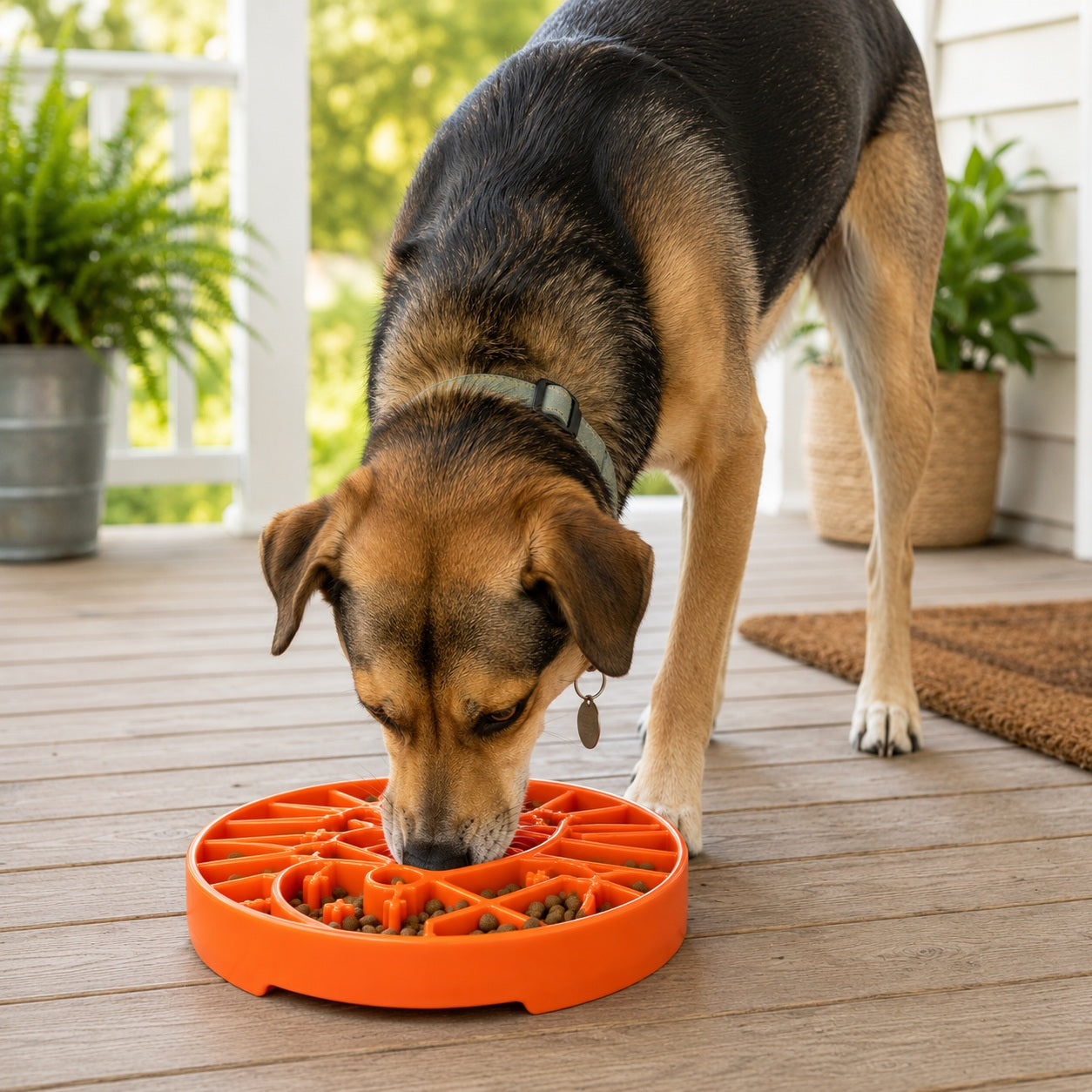 SodaPup Sun Moon eTray Shallow Slow Feeder Dog Bowl Enrichment | USA Made