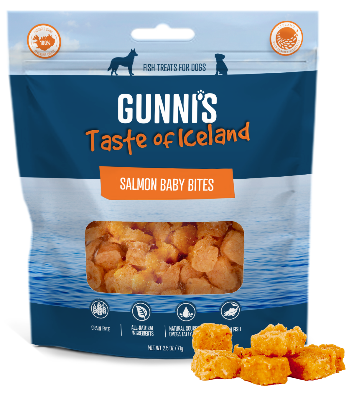 Salmon Recipe Baby Bites - Image 2