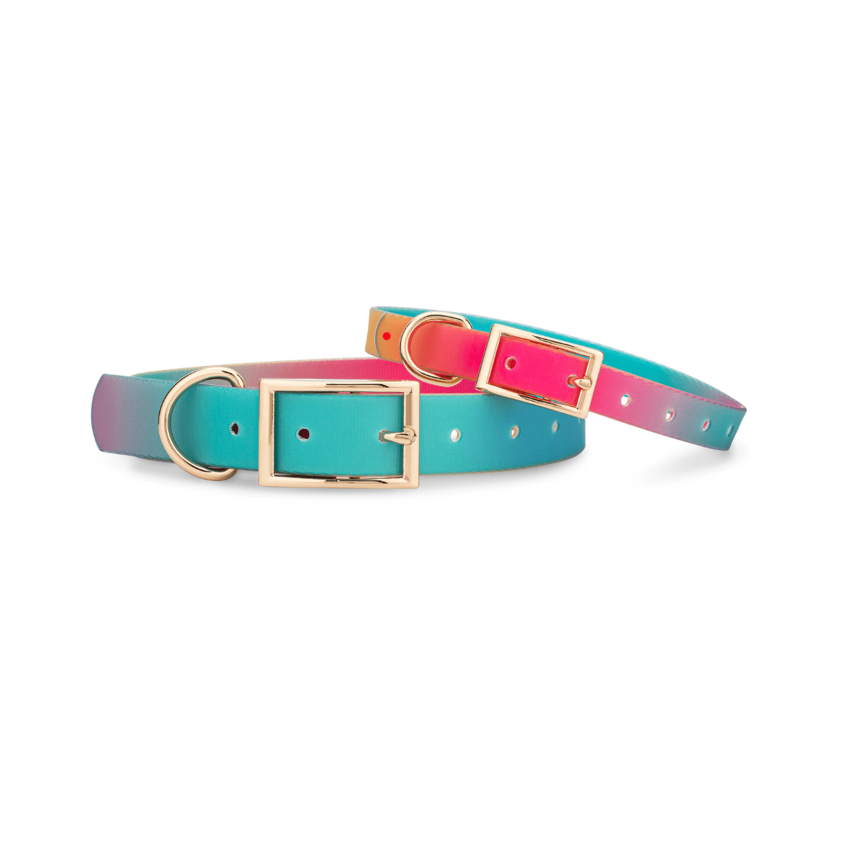 Pippa Dog Collar | Pink Papyrus