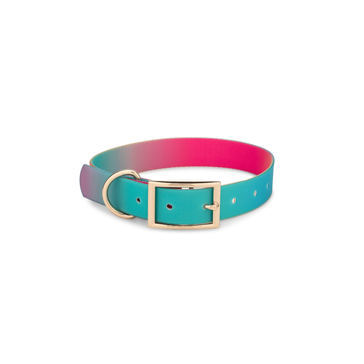 Pippa Dog Collar | Pink Papyrus