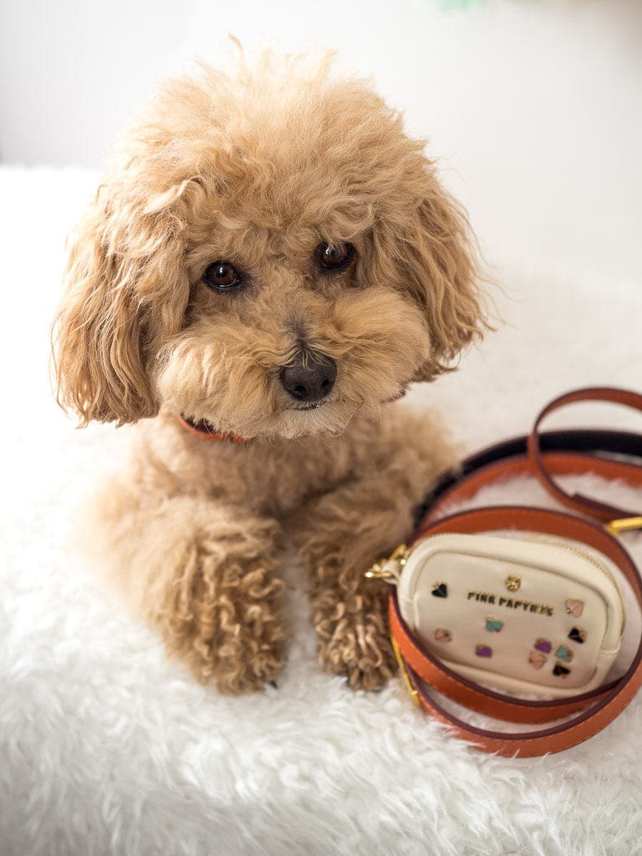 Ainsley Vegan Leather Dog Leash | Pink Papyrus