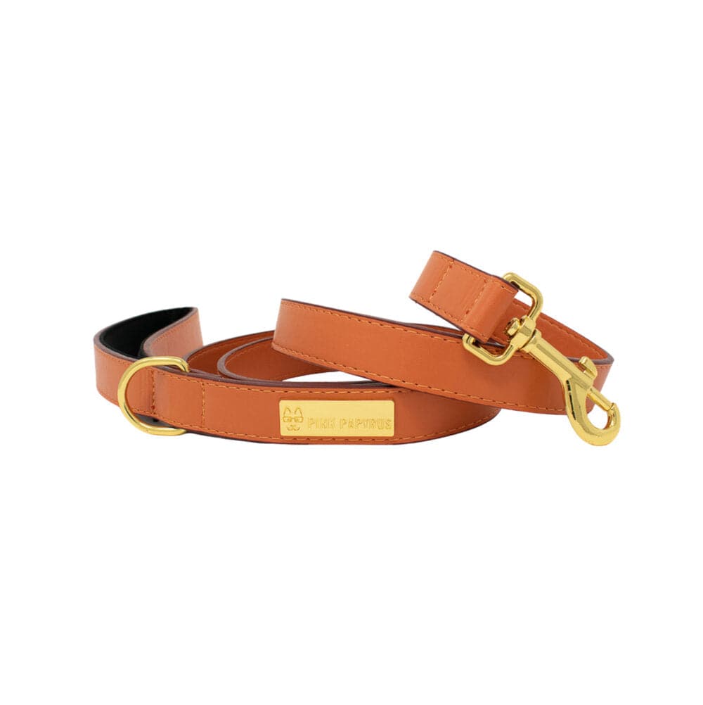 Ainsley Vegan Leather Dog Leash | Pink Papyrus