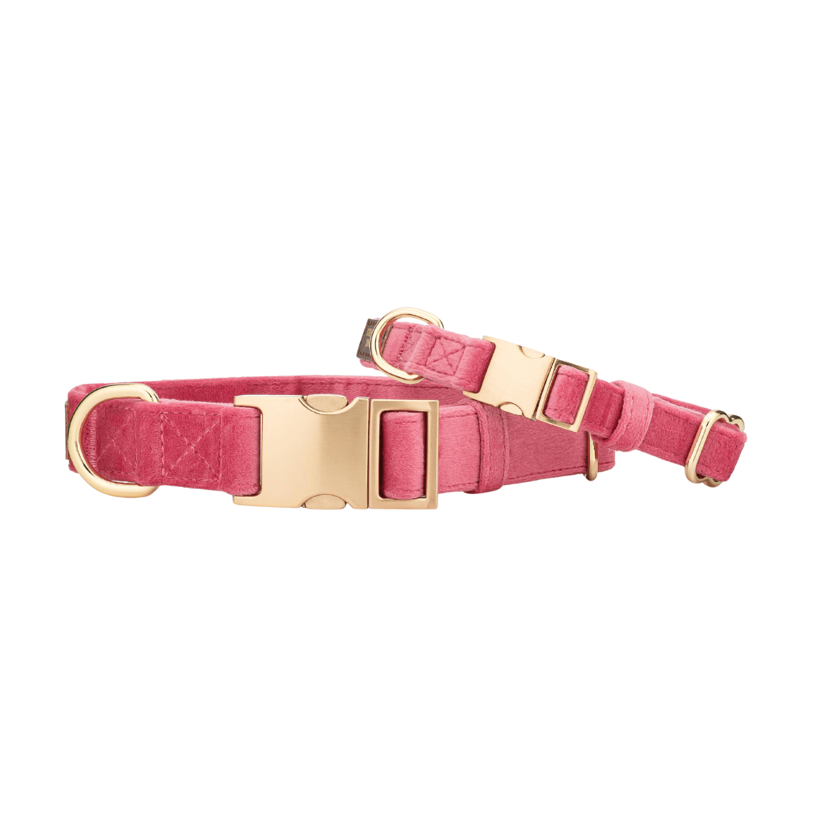 Ella Dog Collar | Pink Papyrus